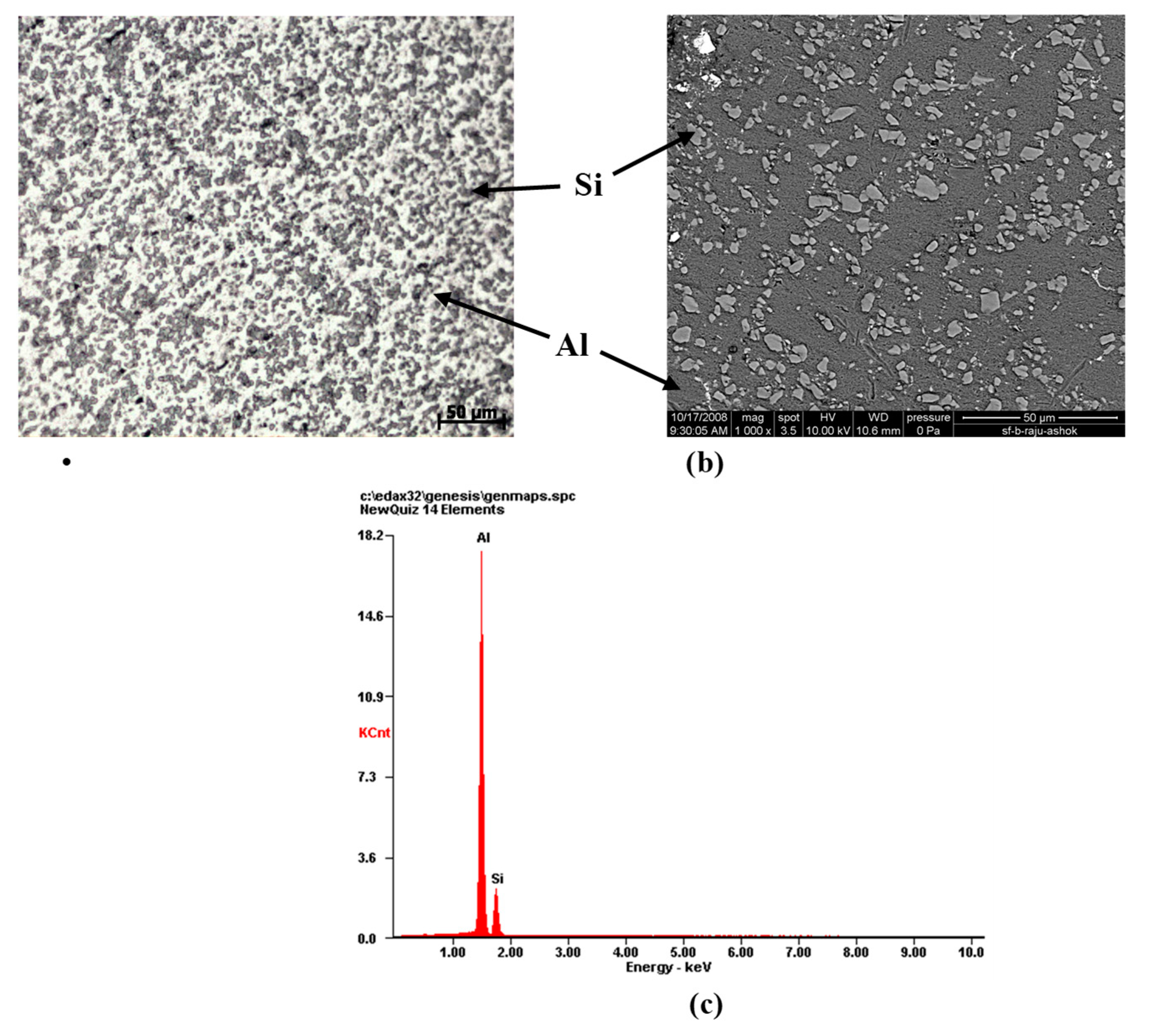 Preprints 97035 g003