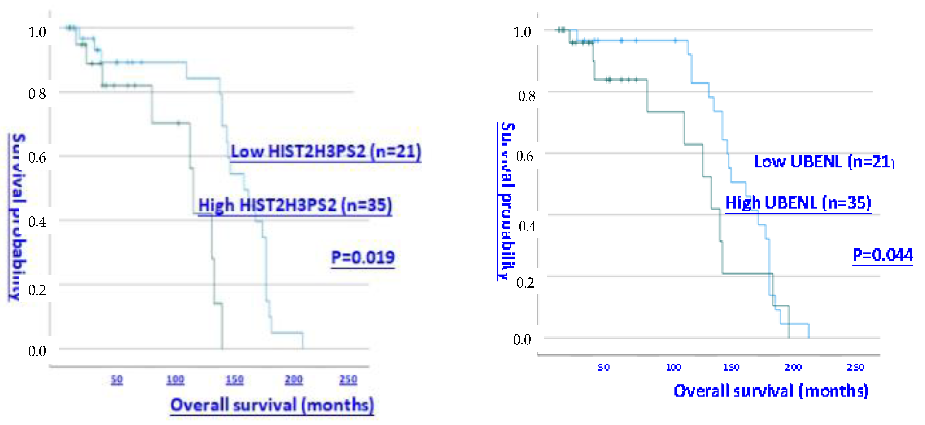 Preprints 119768 g001b