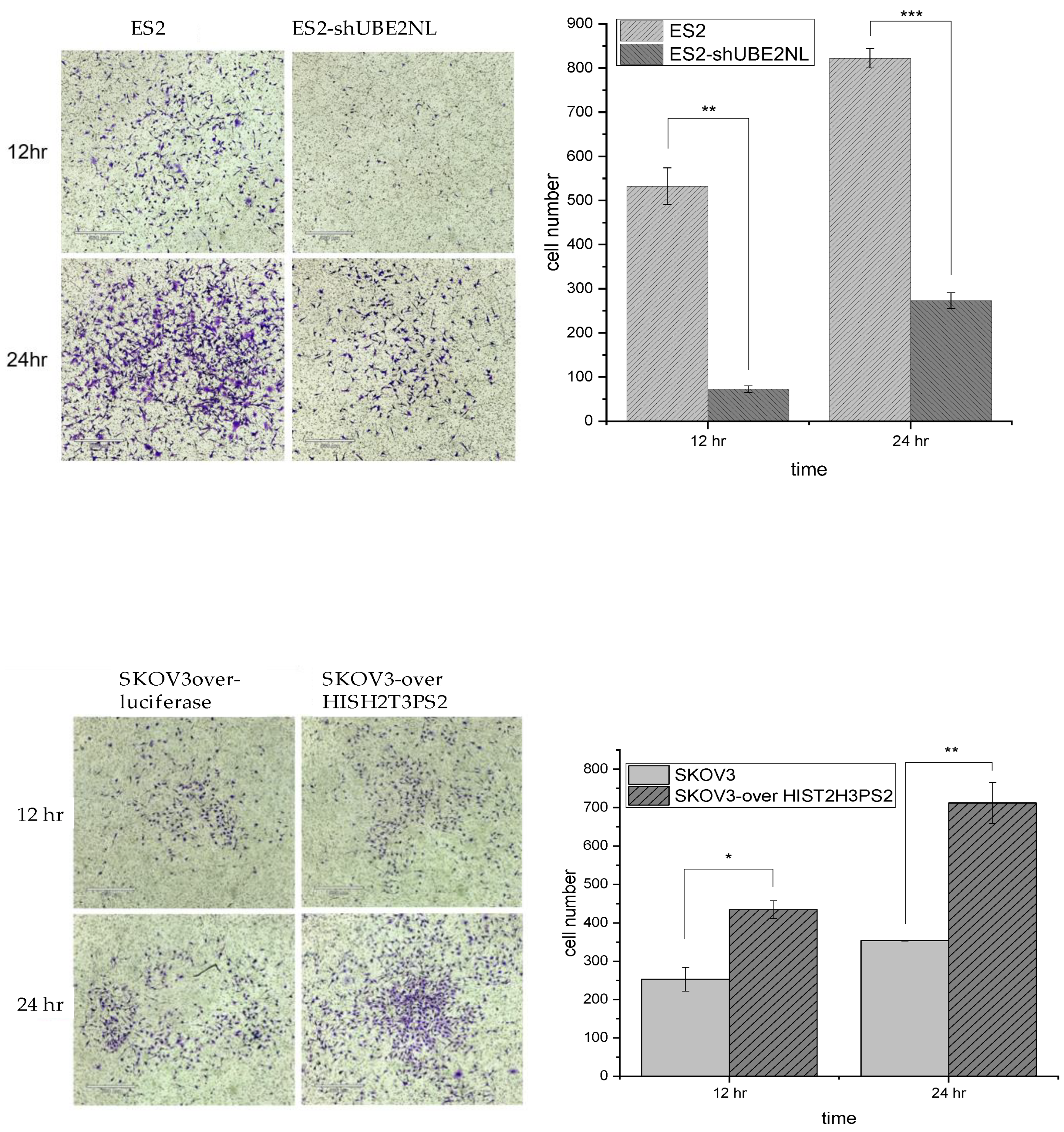 Preprints 119768 g004