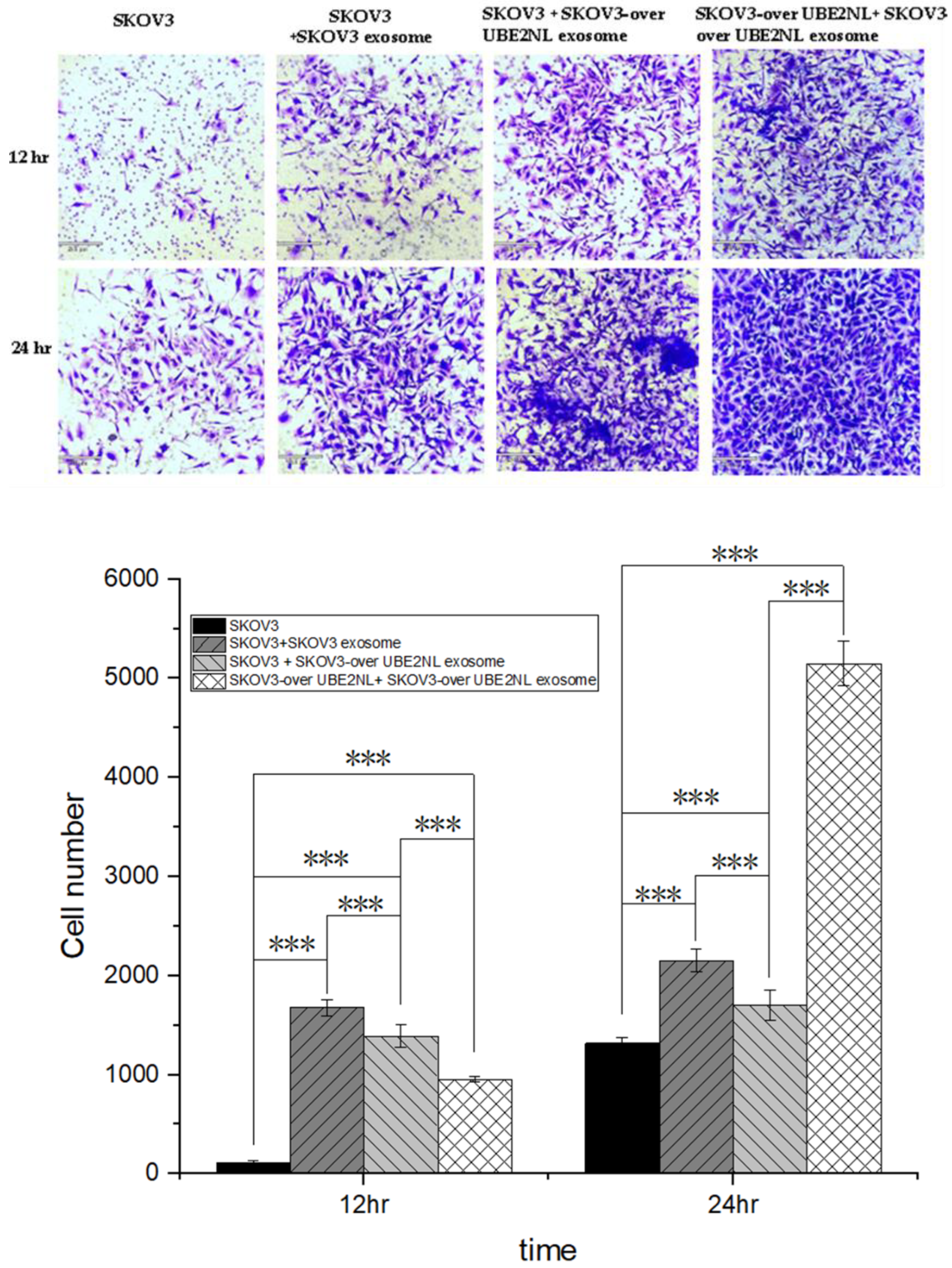 Preprints 119768 g005