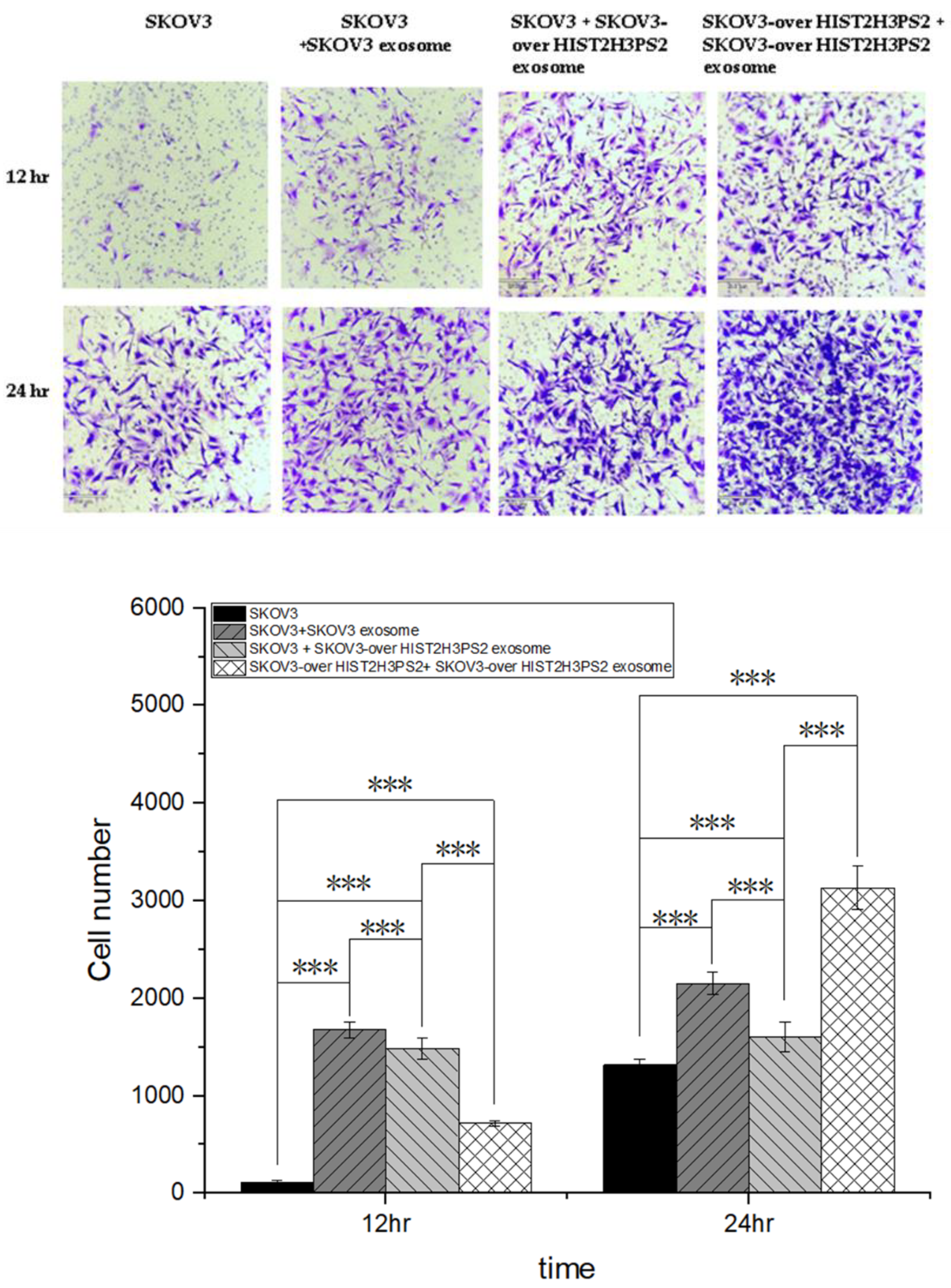 Preprints 119768 g006