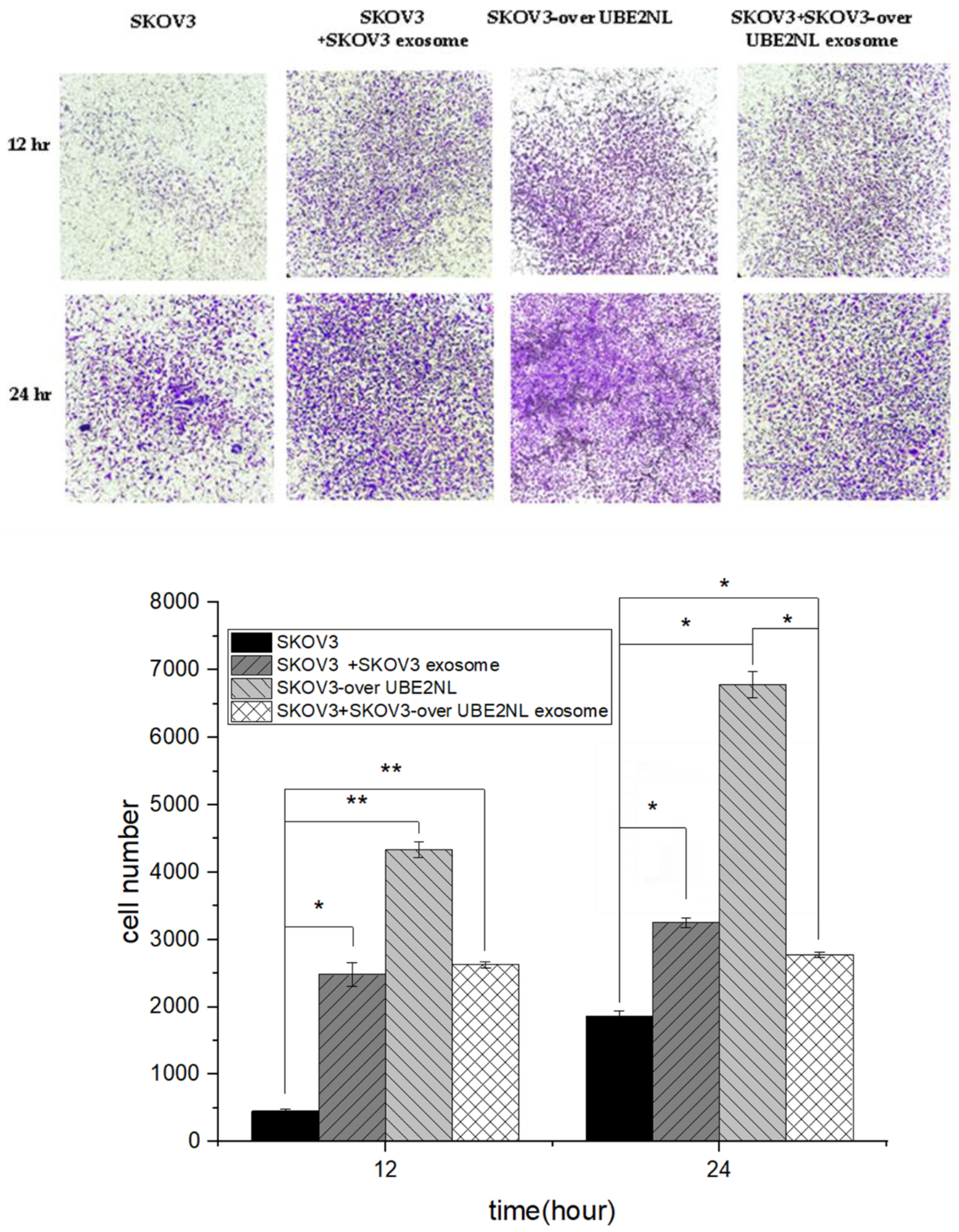 Preprints 119768 g007a