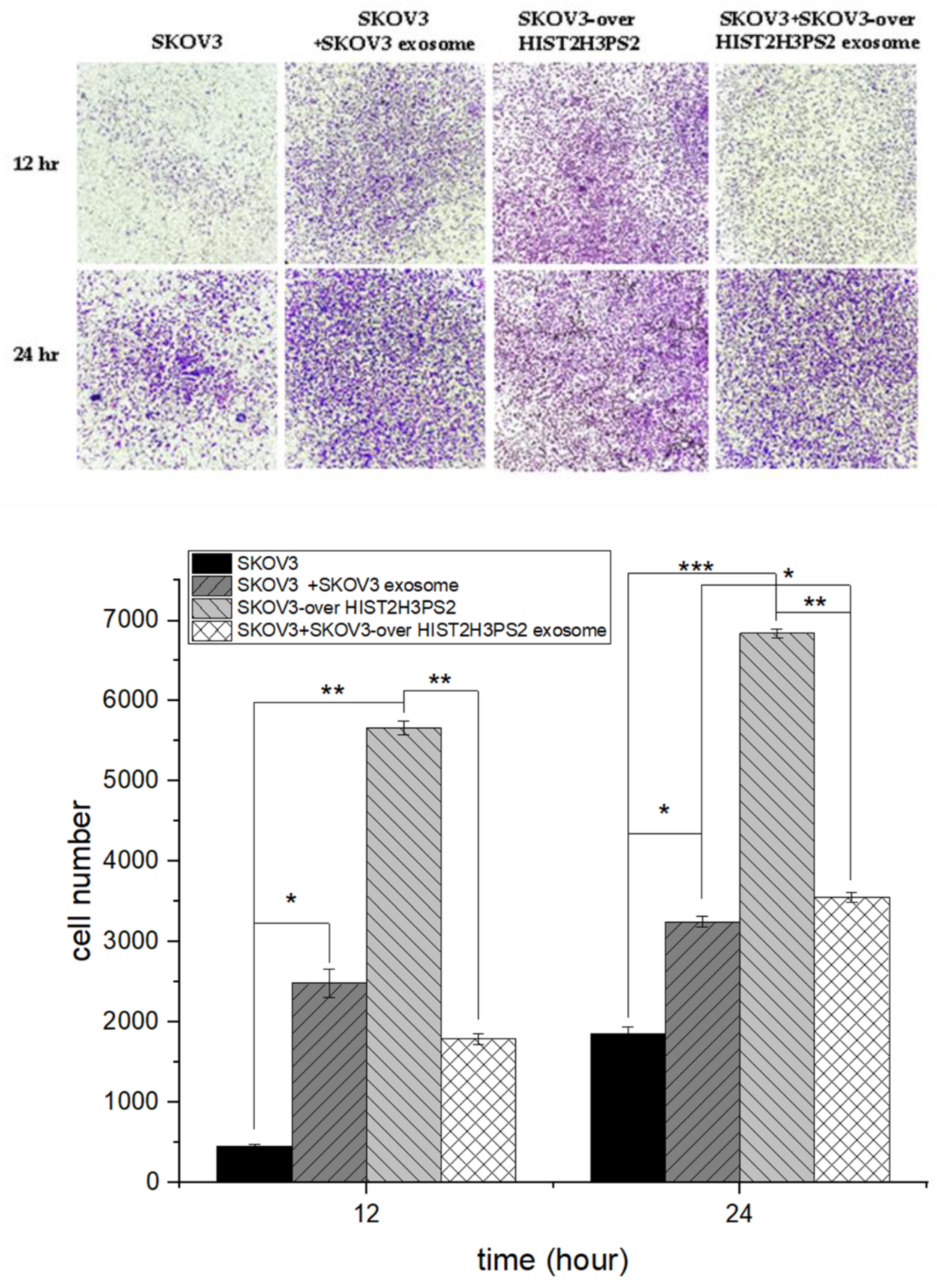 Preprints 119768 g007b