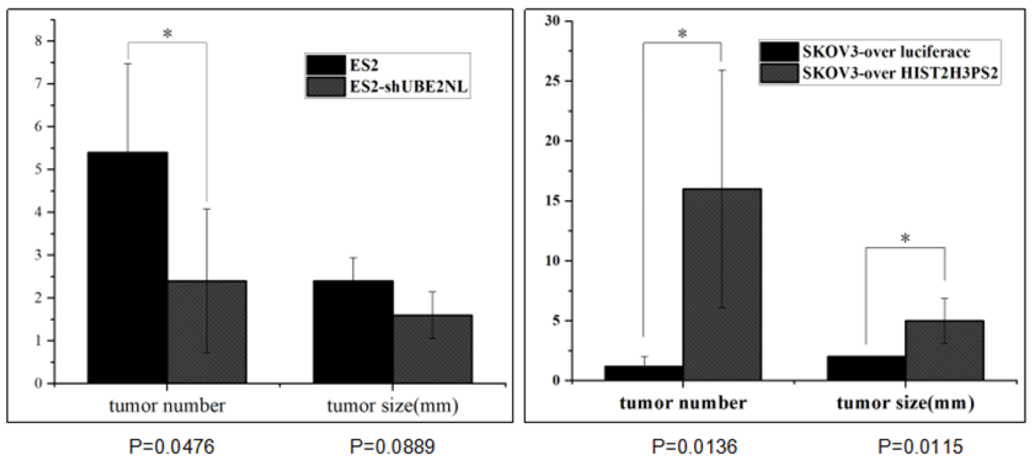 Preprints 119768 g012