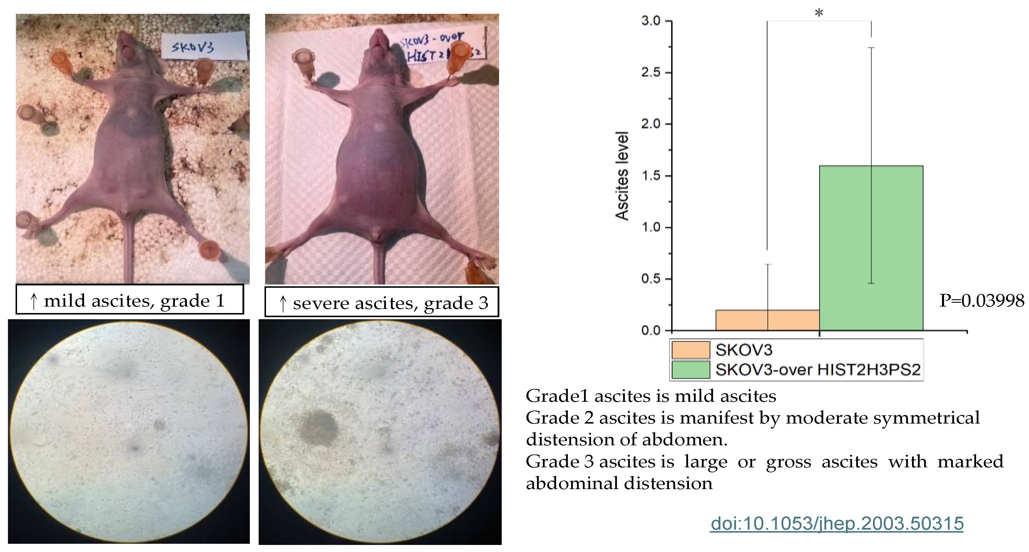 Preprints 119768 g013