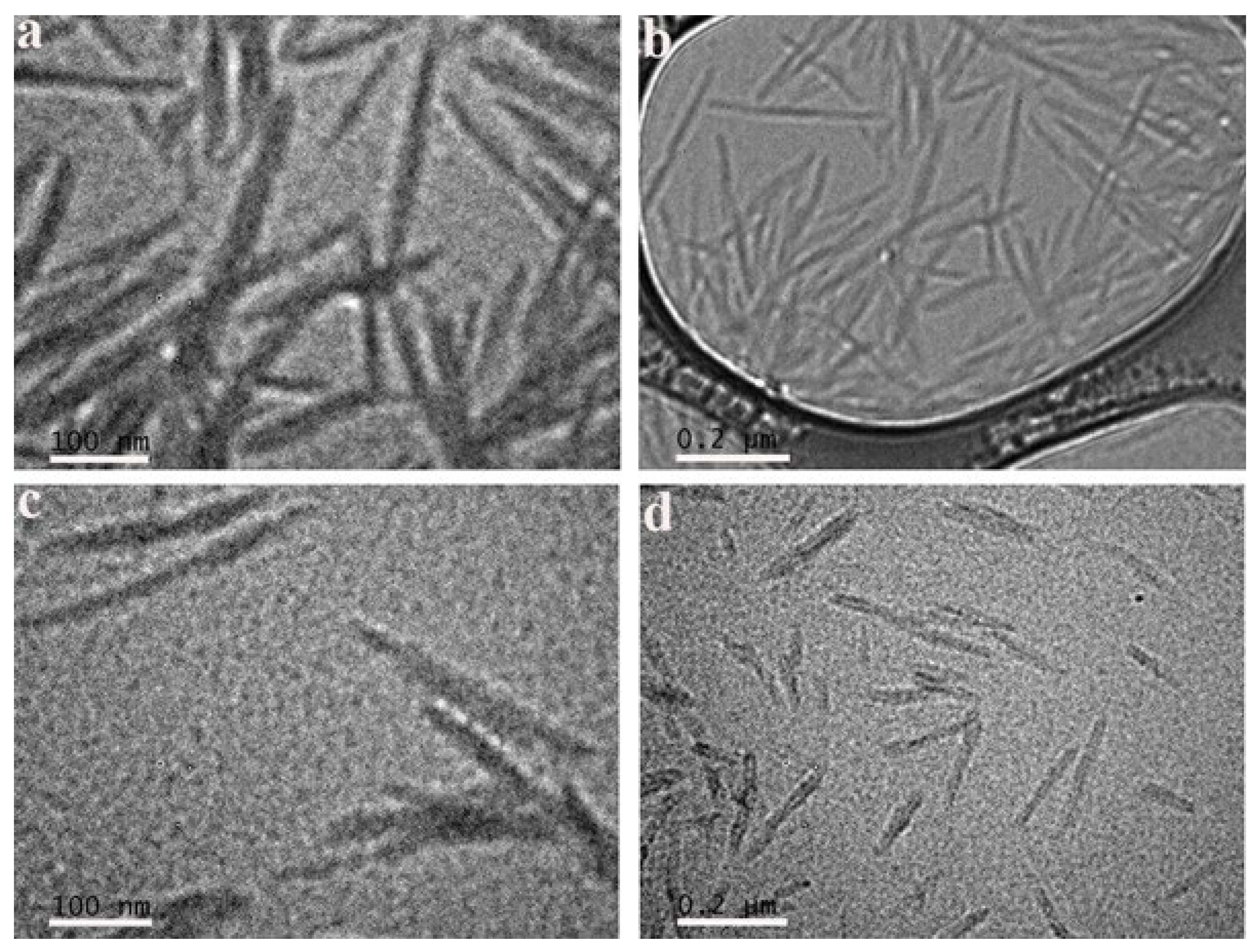 Preprints 104108 g005