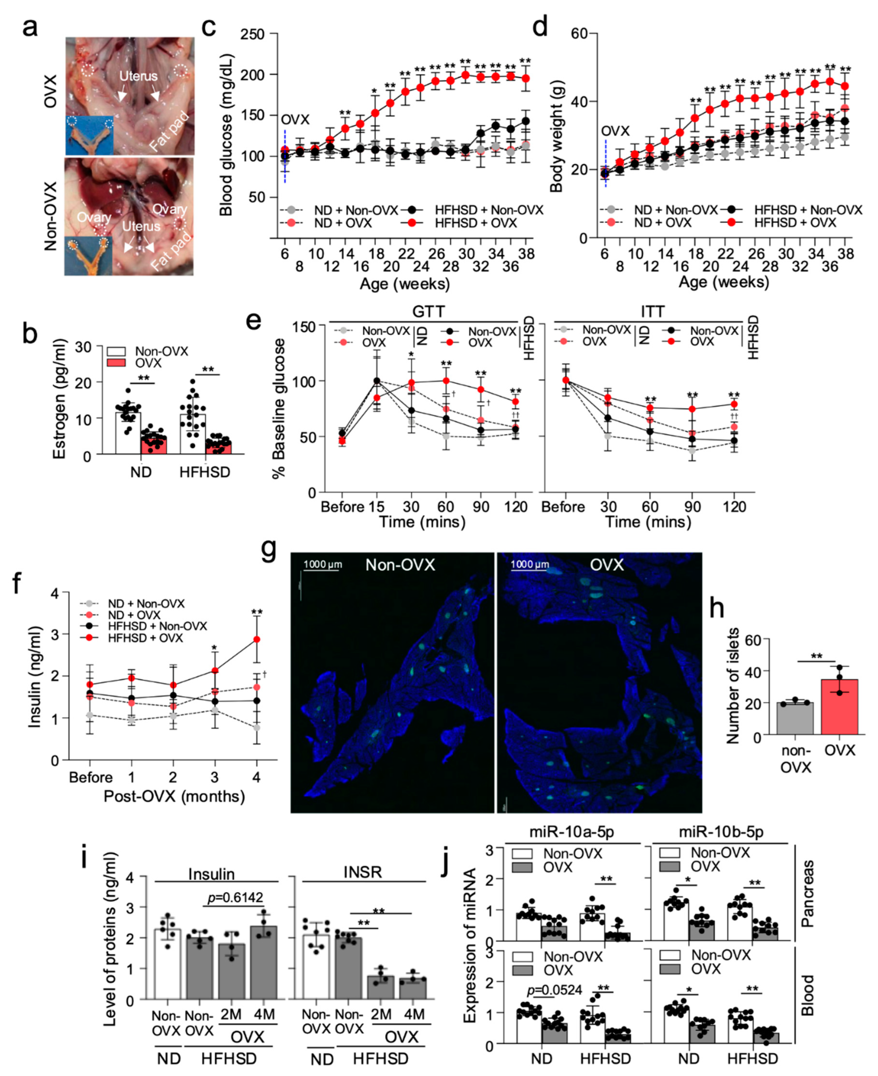 Preprints 116329 g002