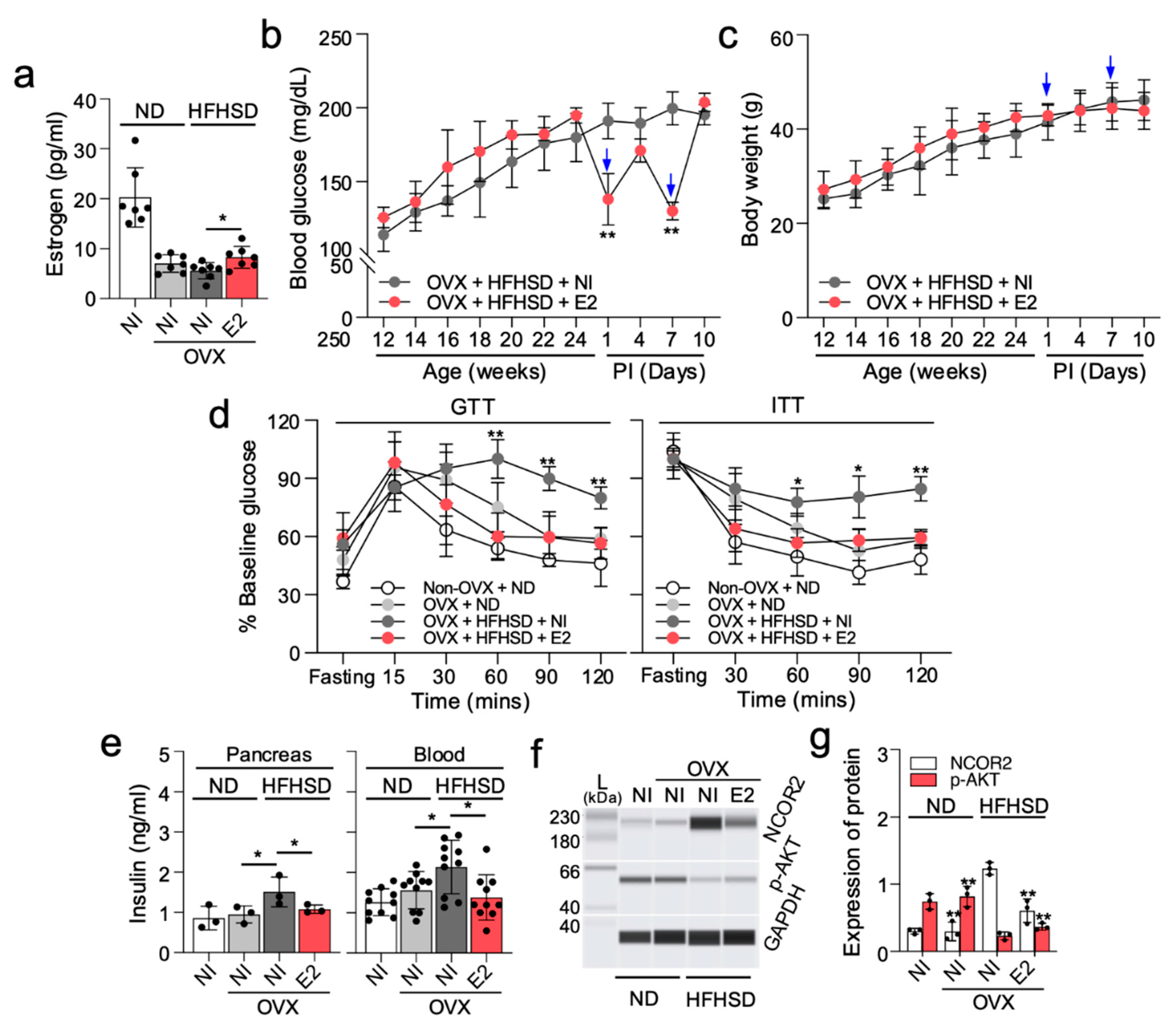 Preprints 116329 g003