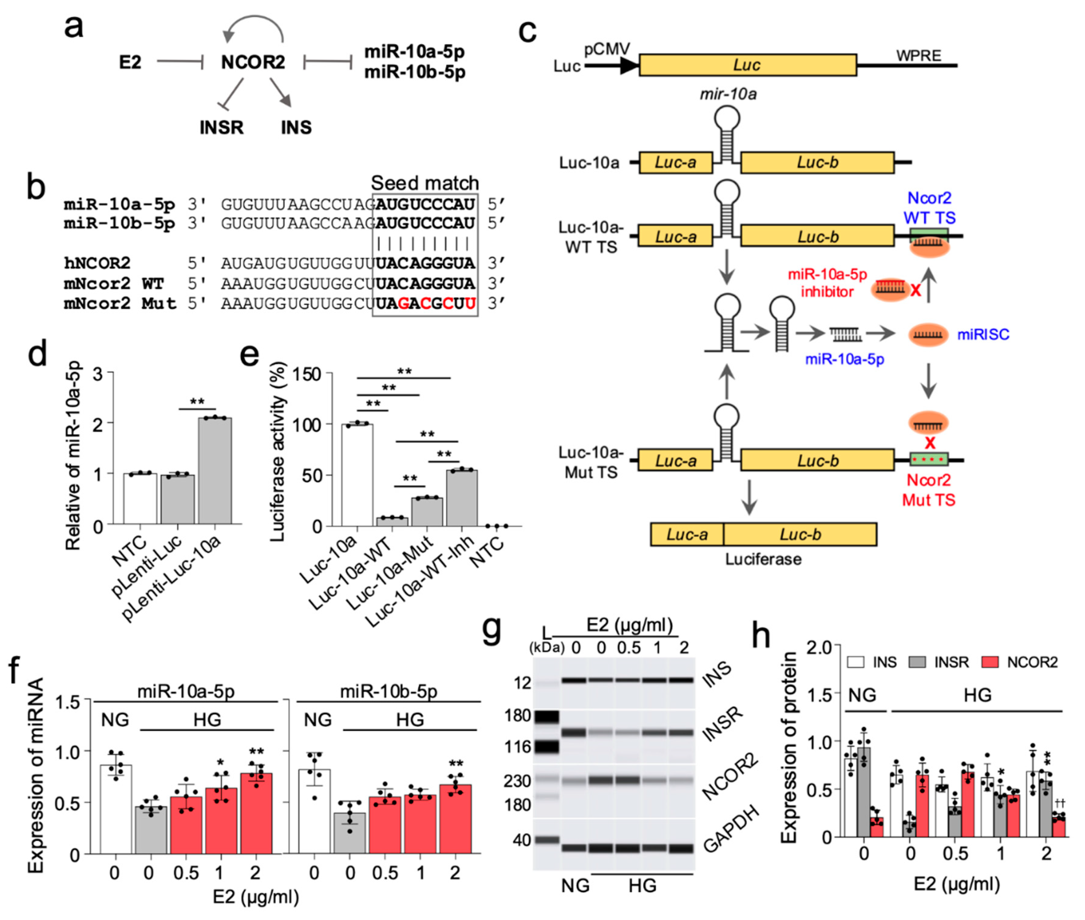 Preprints 116329 g005