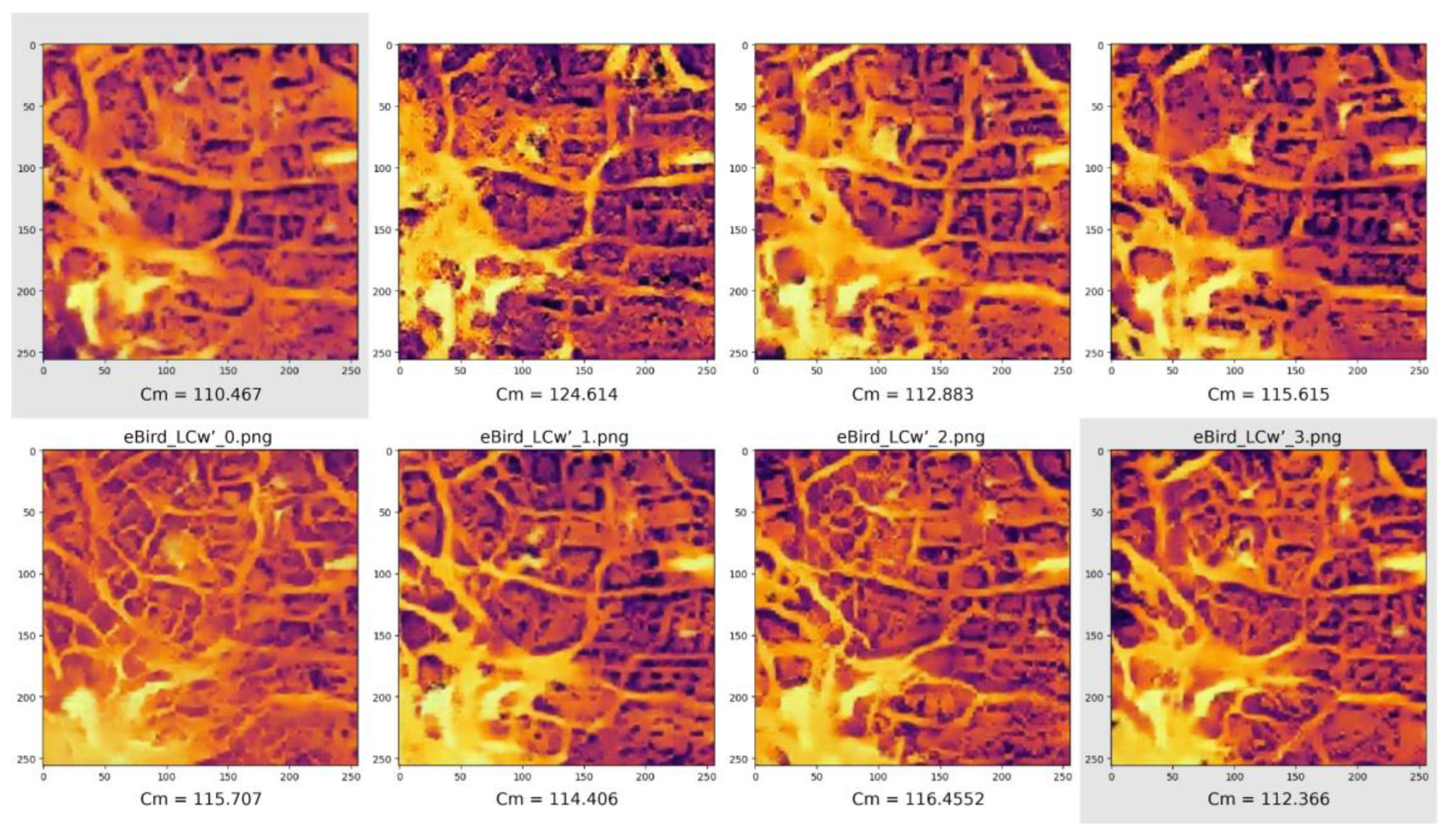 Preprints 115876 g011