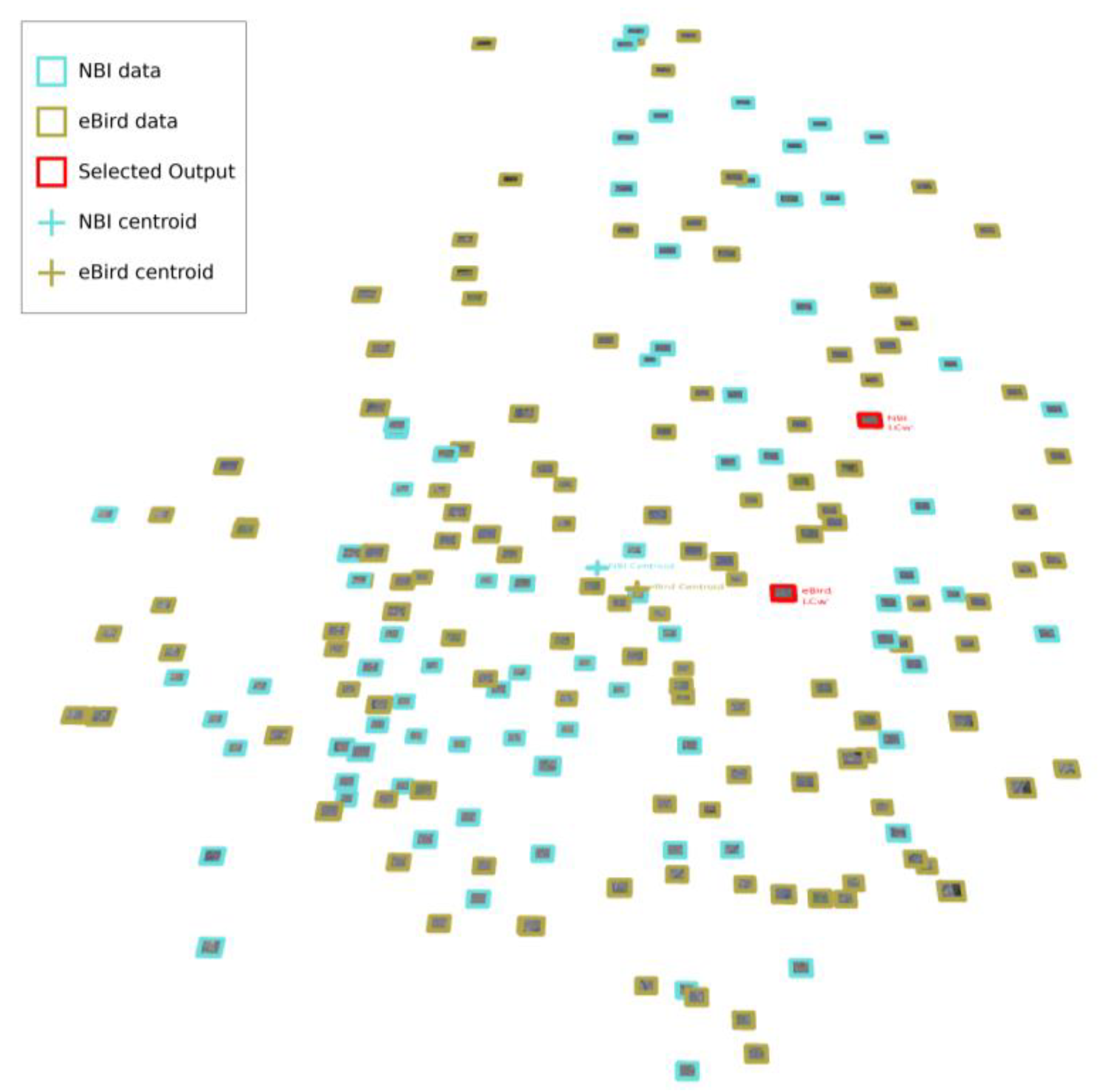 Preprints 115876 g014