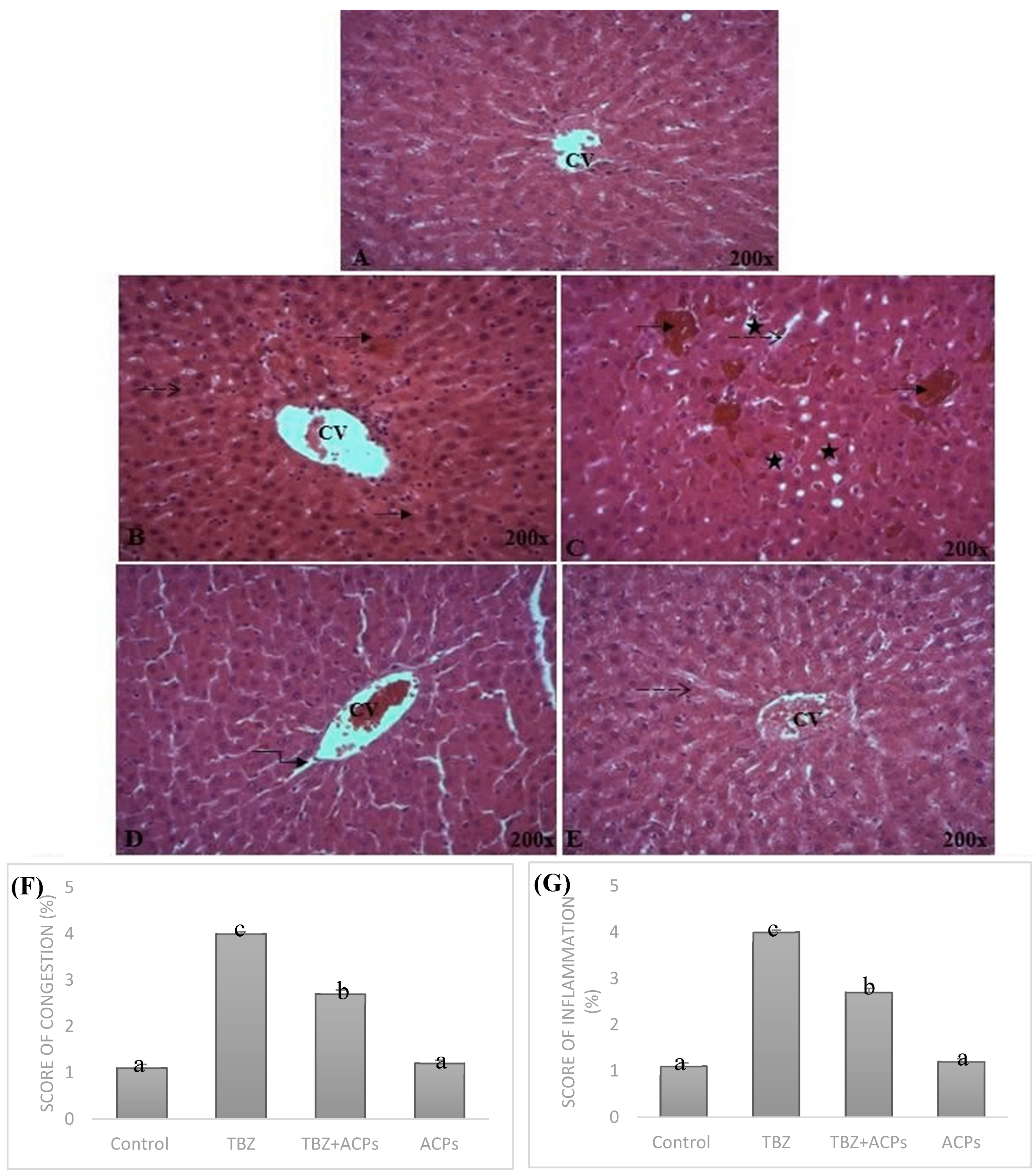 Preprints 83209 g009