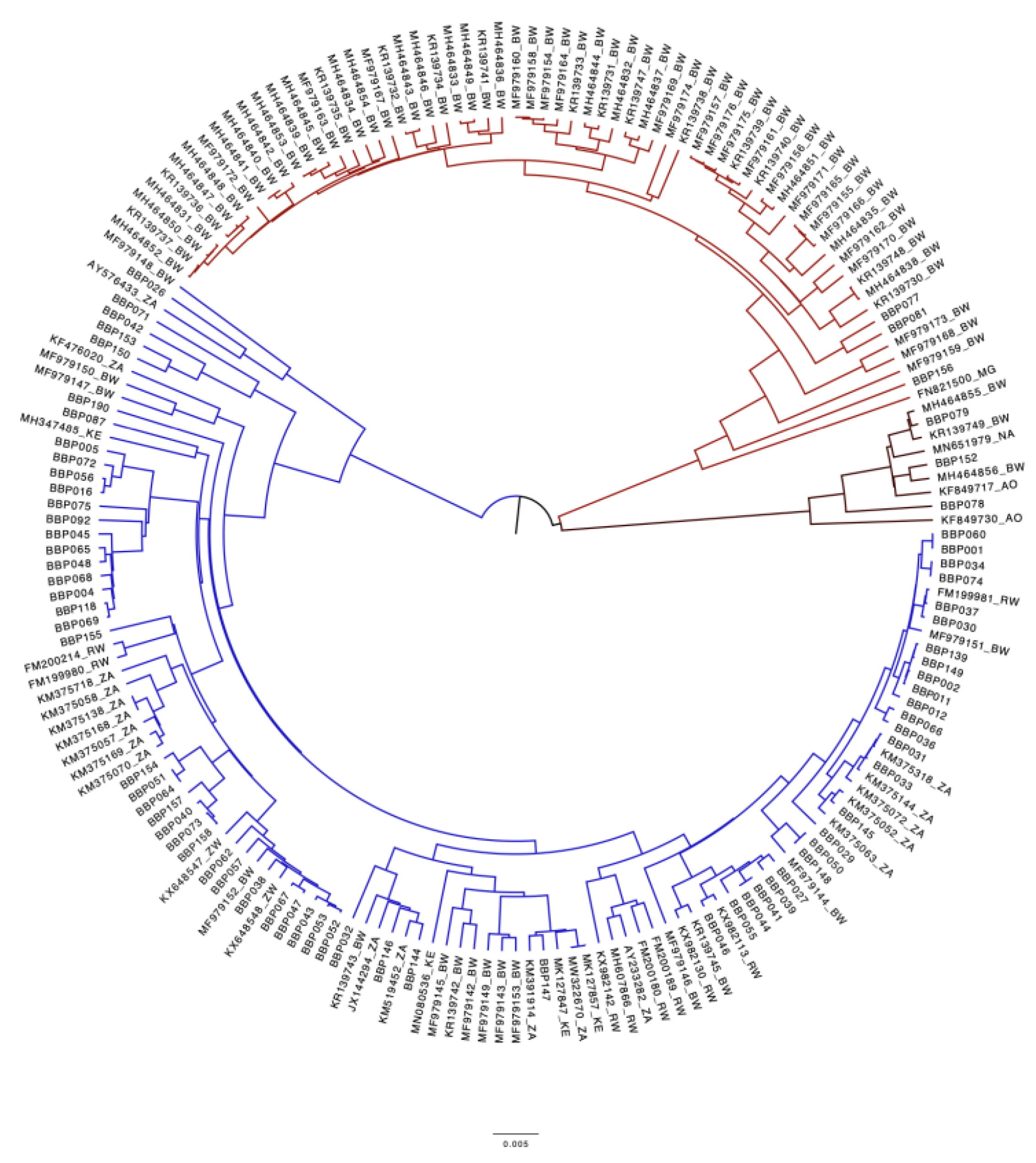 Preprints 108384 g003