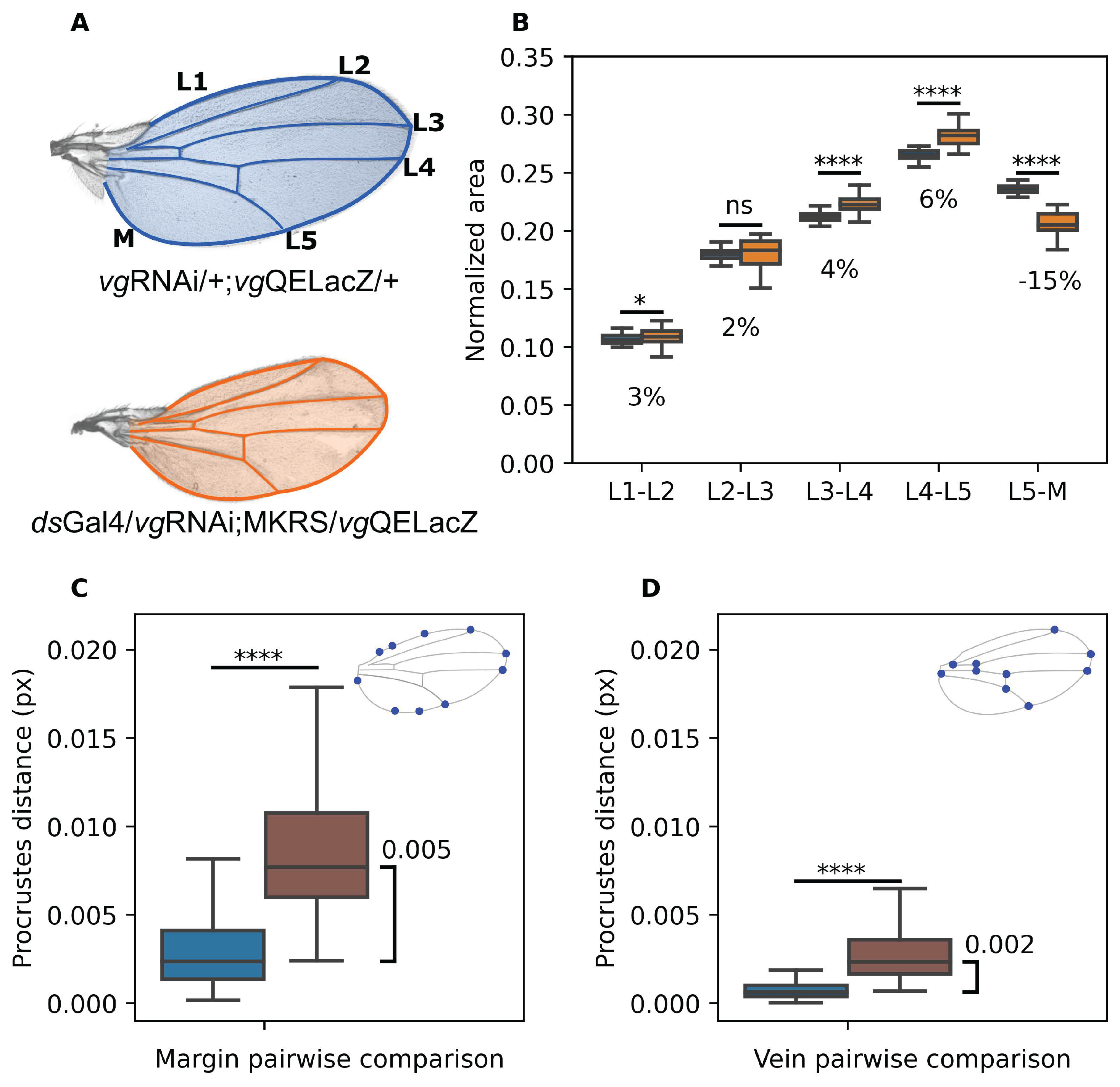 Preprints 102824 g001