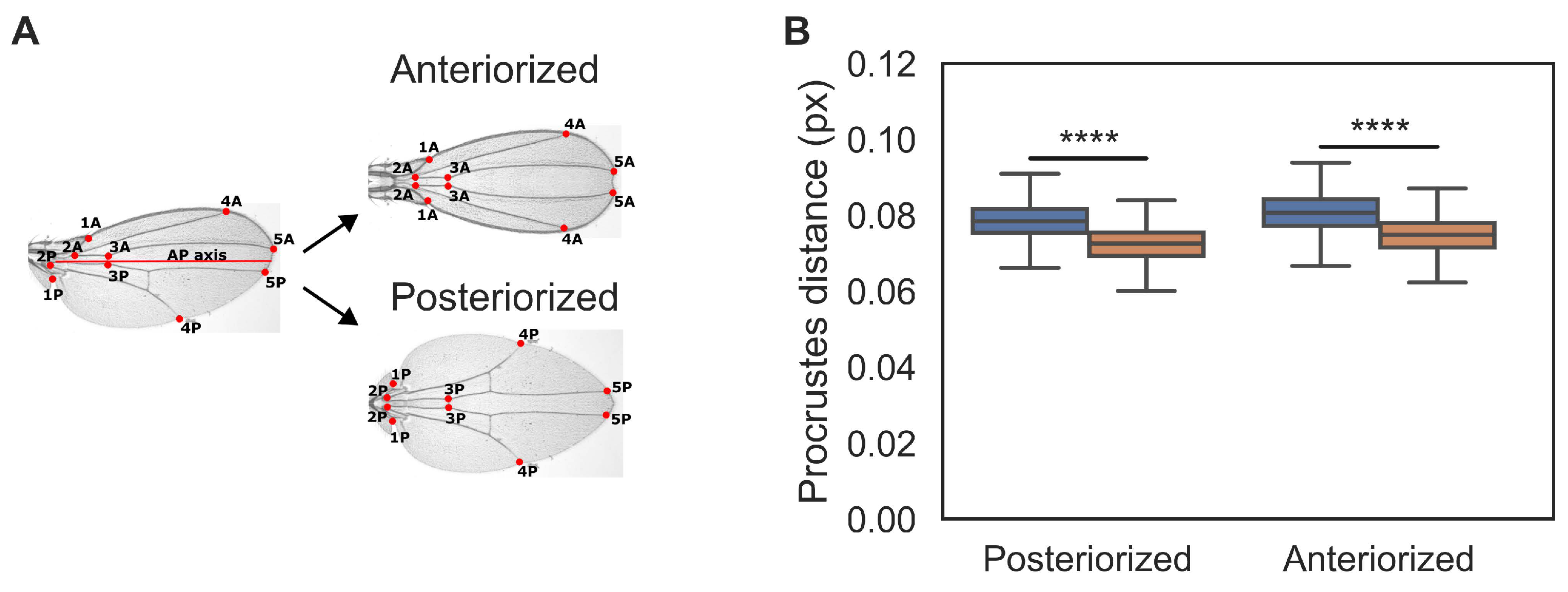 Preprints 102824 g002