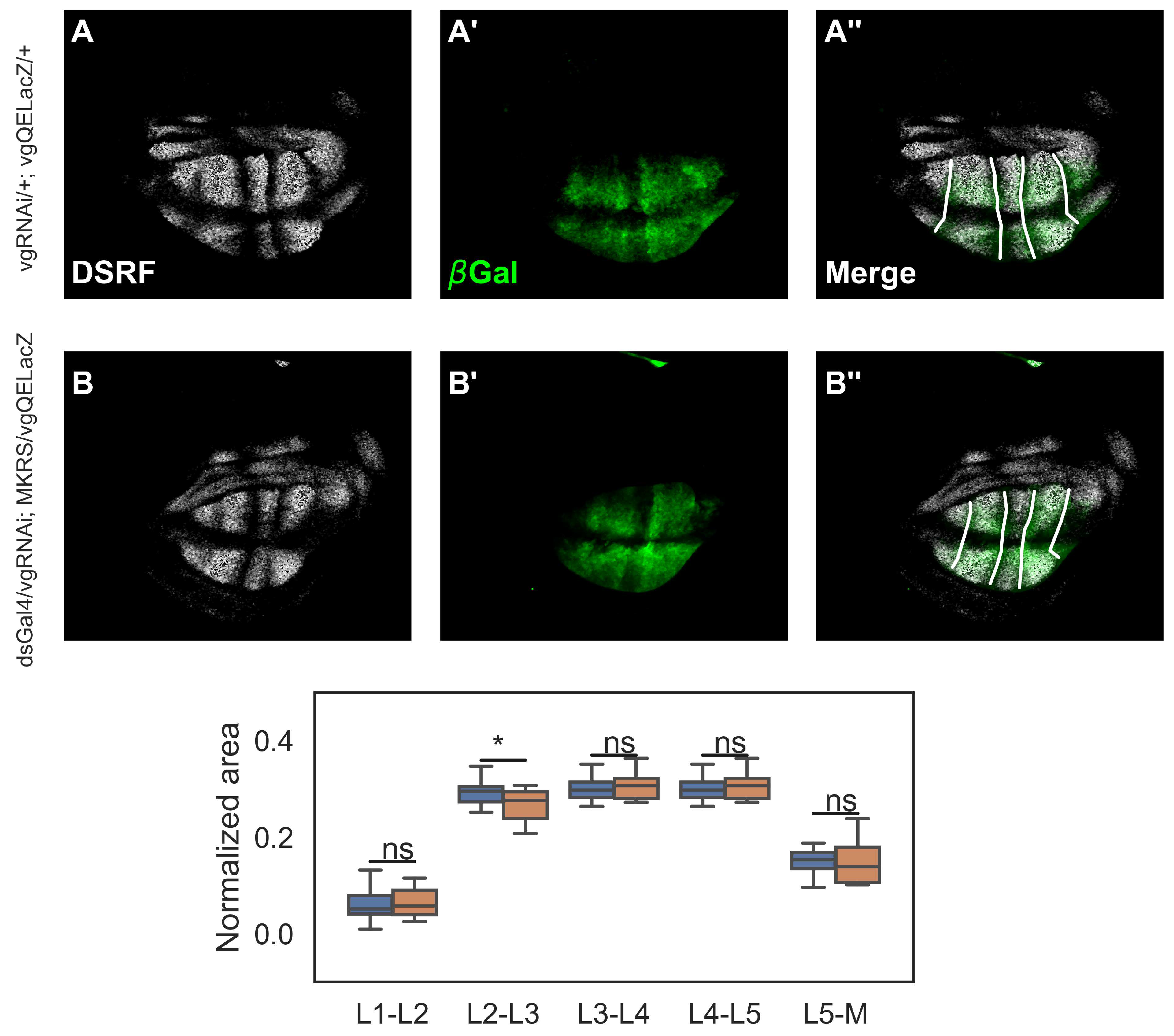 Preprints 102824 g003