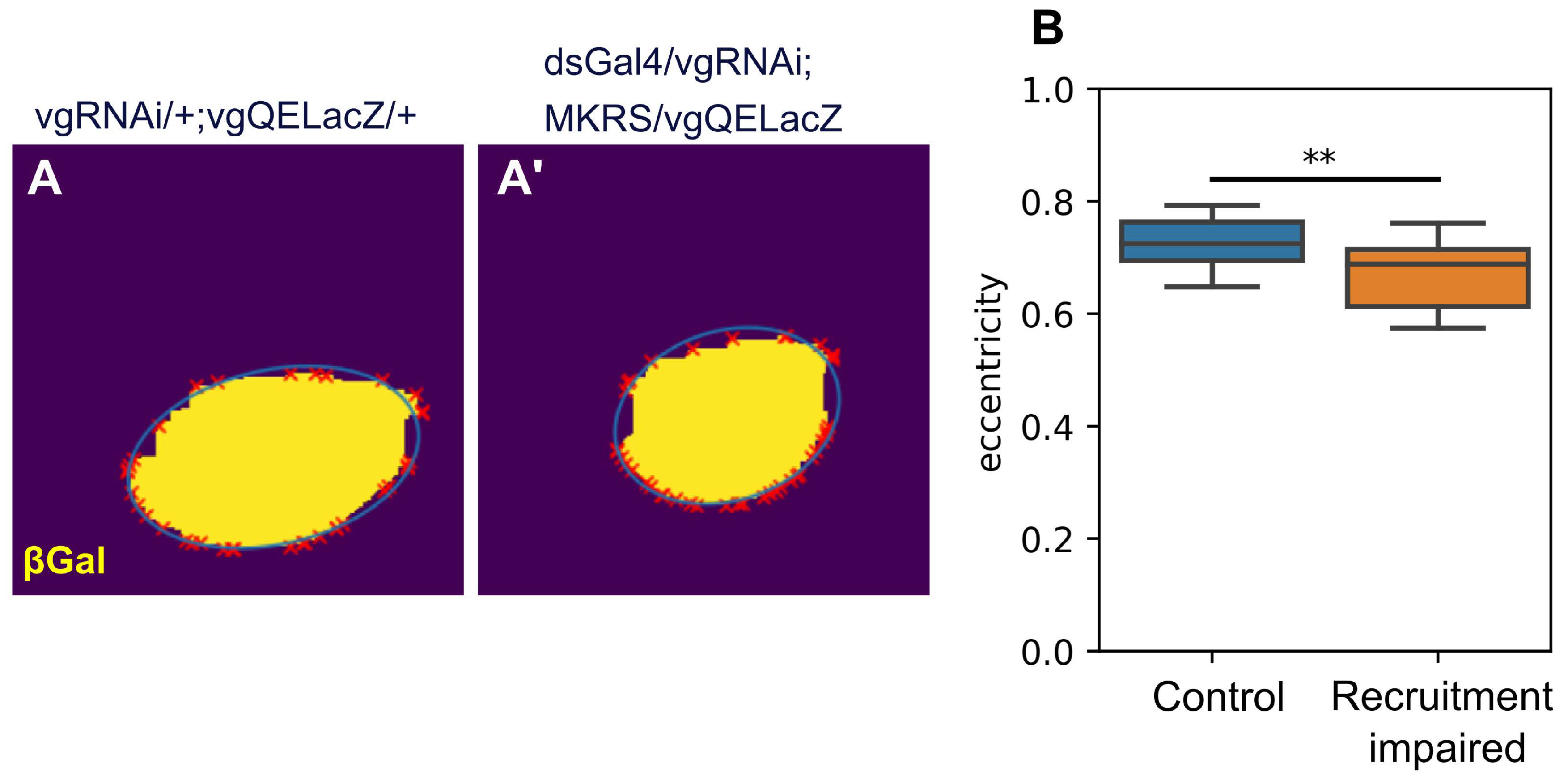 Preprints 102824 g004