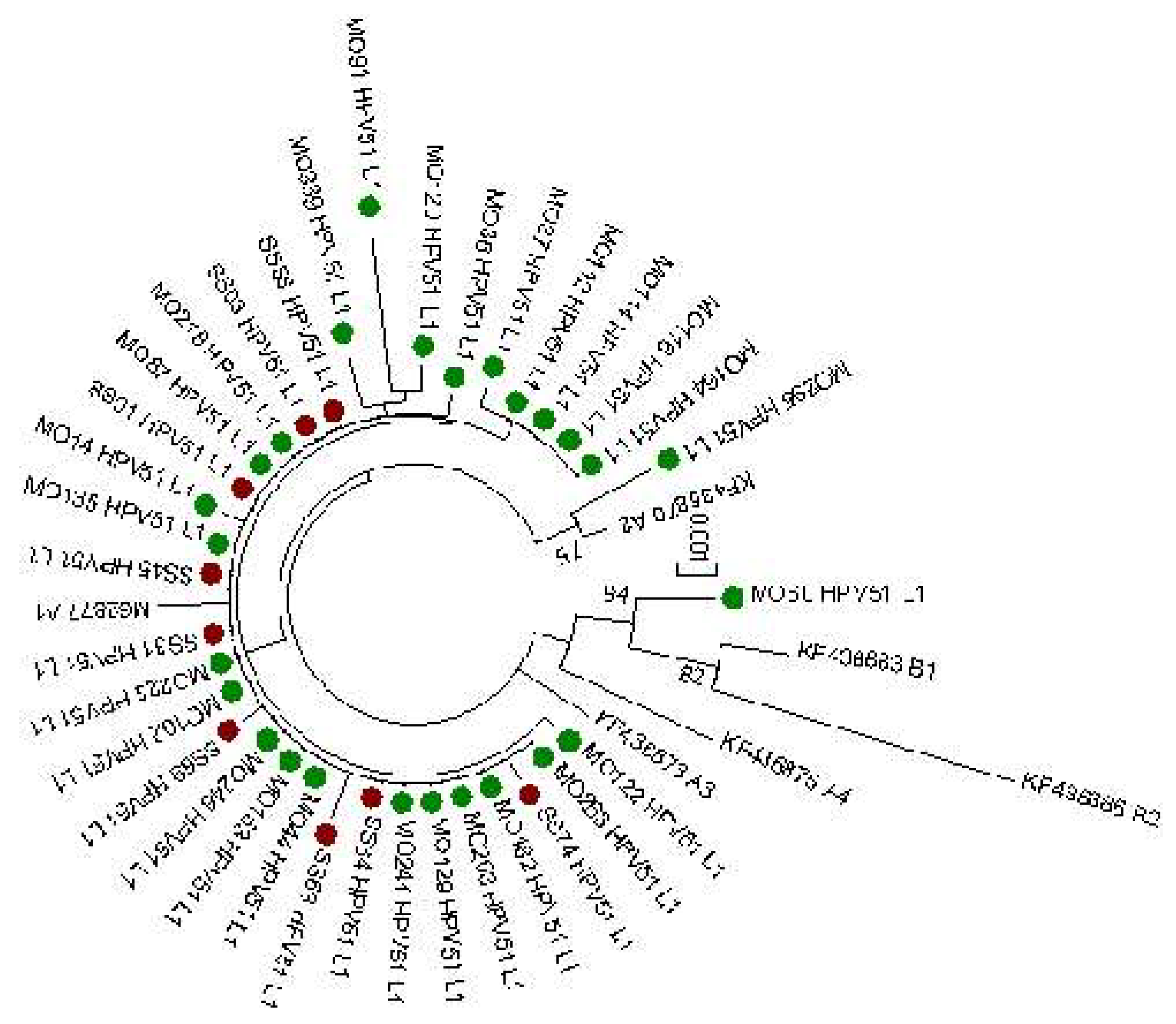 Preprints 111358 g003