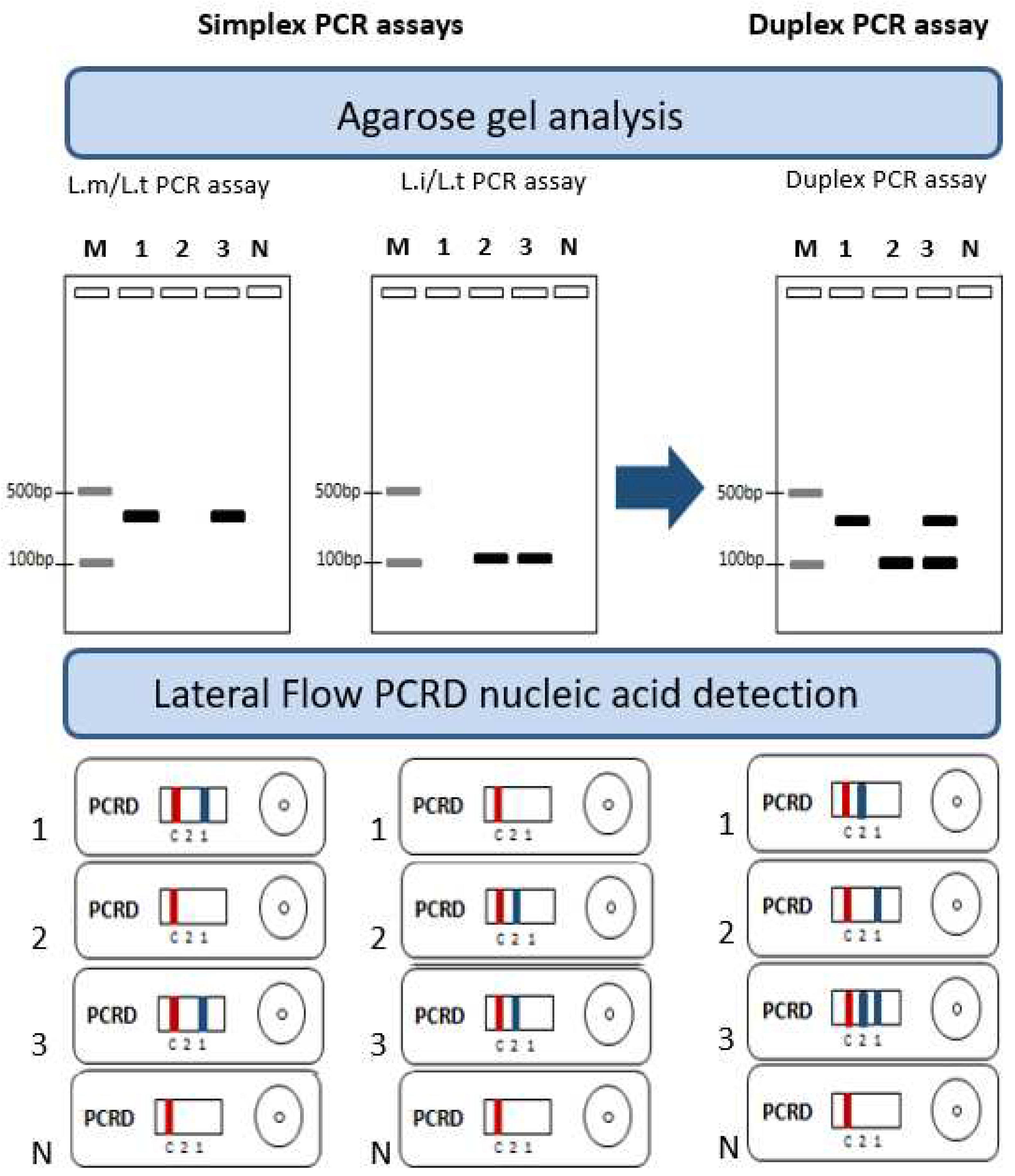 Preprints 86703 g001