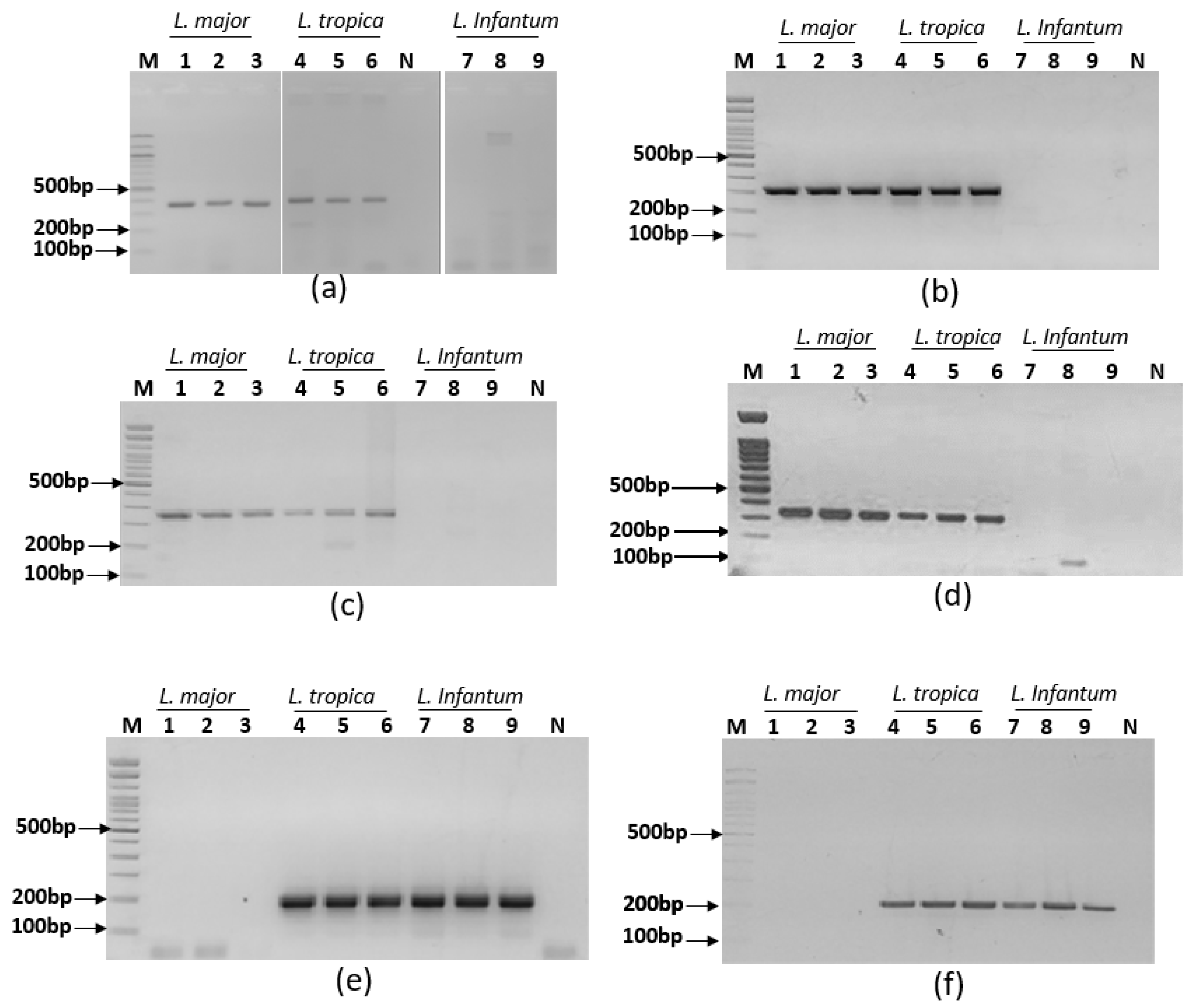 Preprints 86703 g002