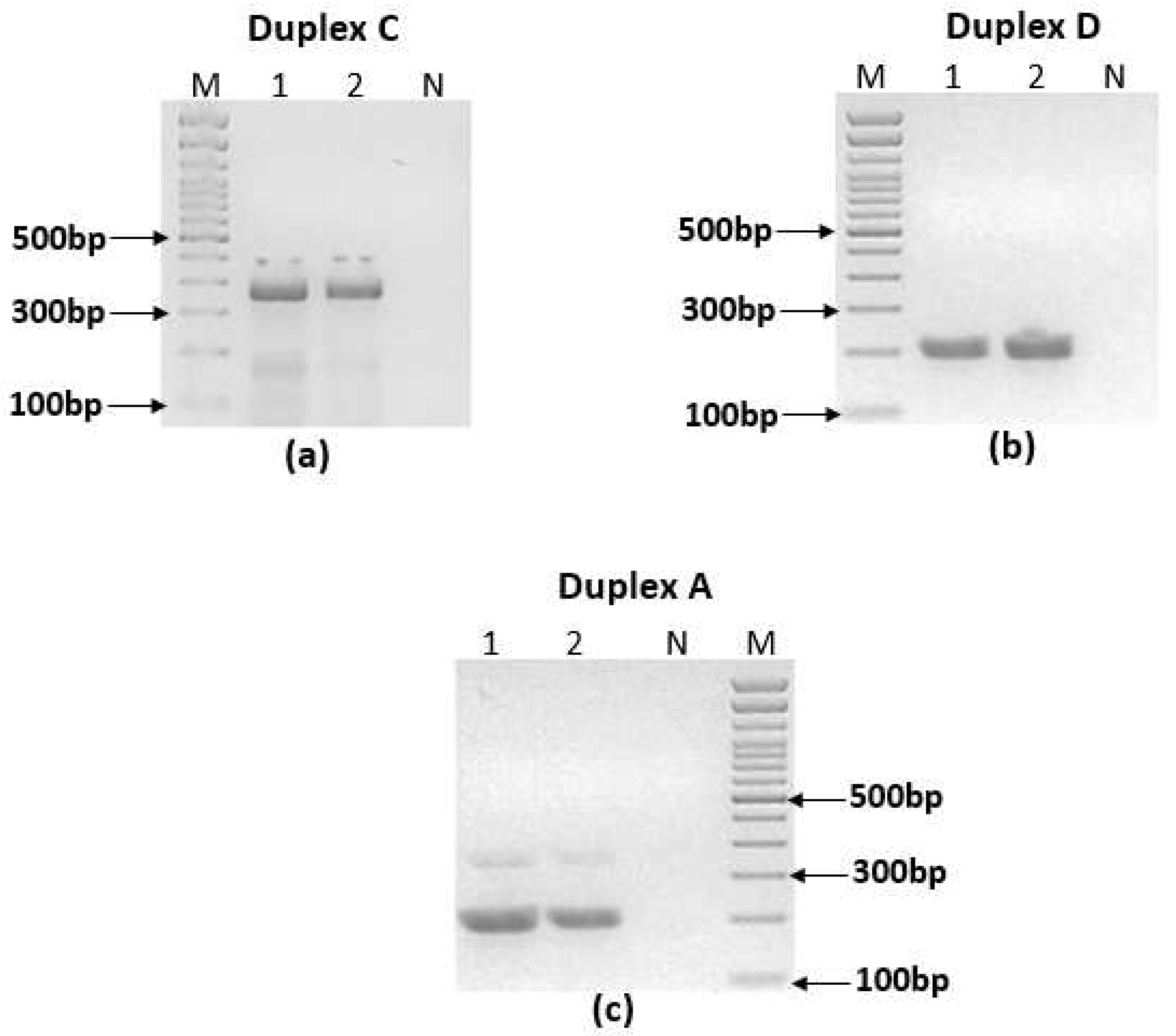 Preprints 86703 g003