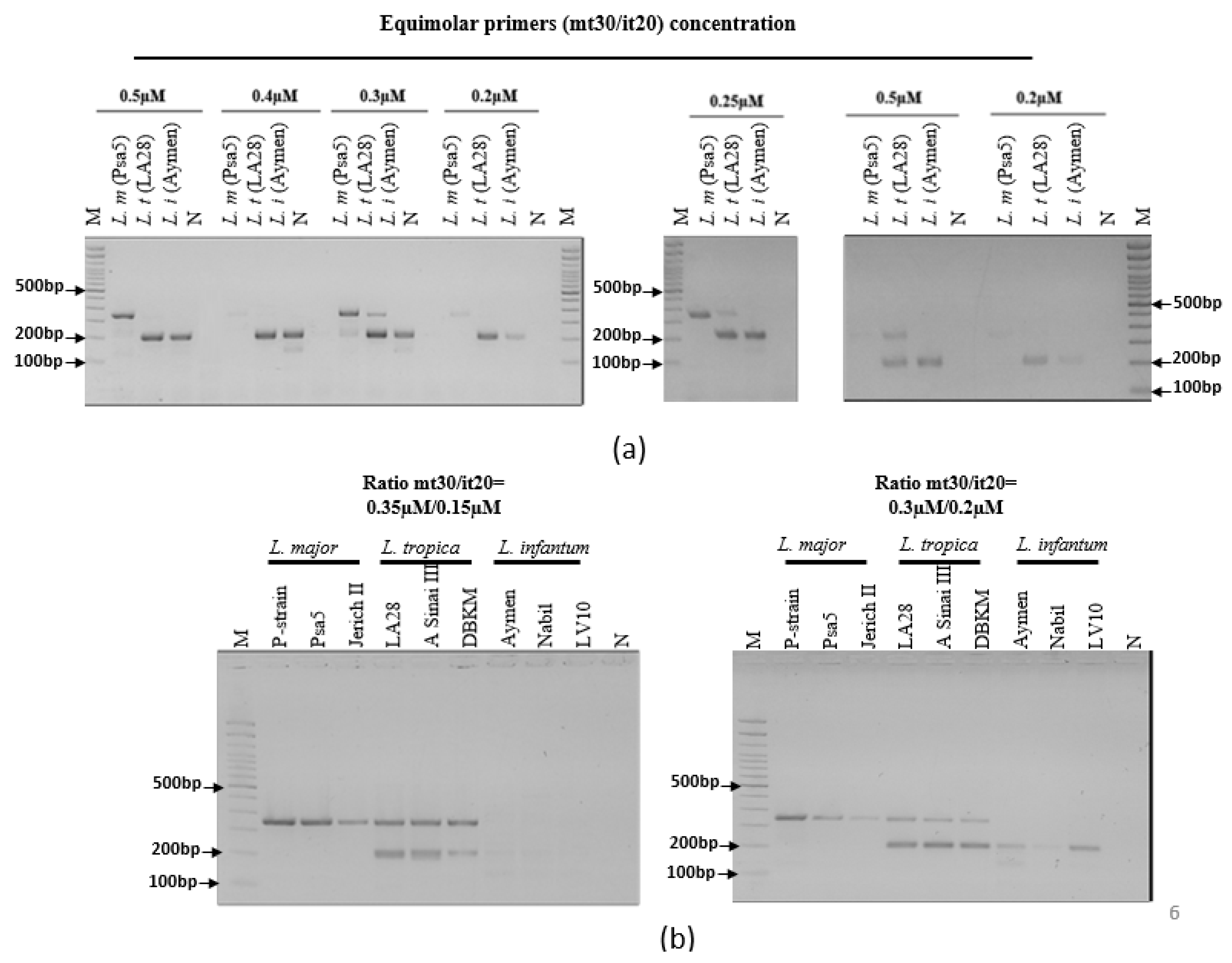 Preprints 86703 g004