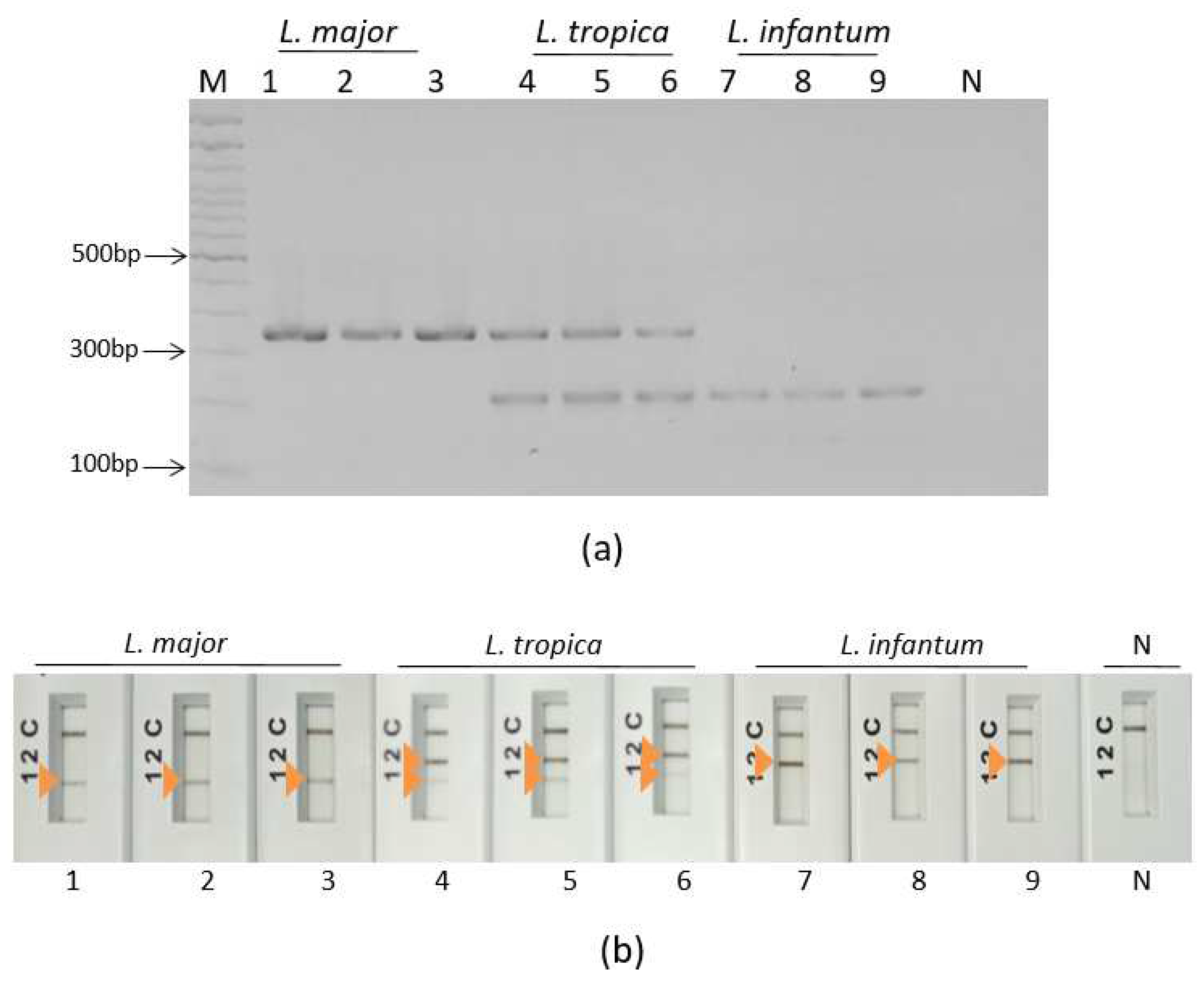 Preprints 86703 g005