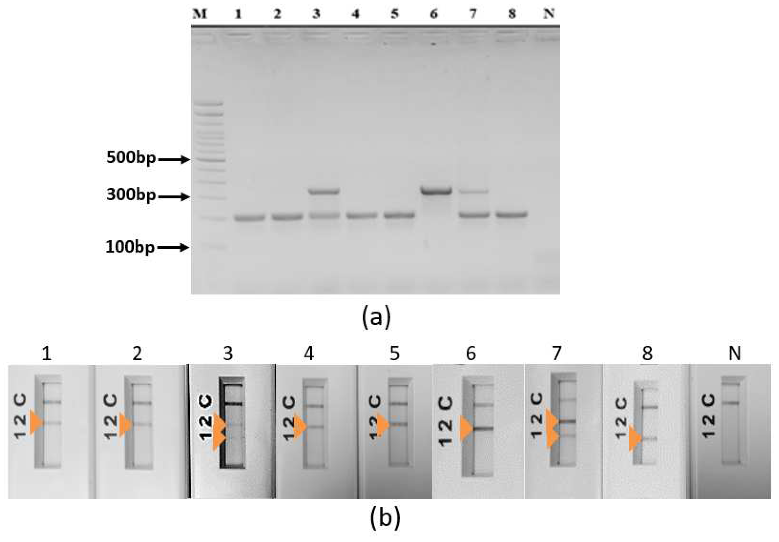 Preprints 86703 g006