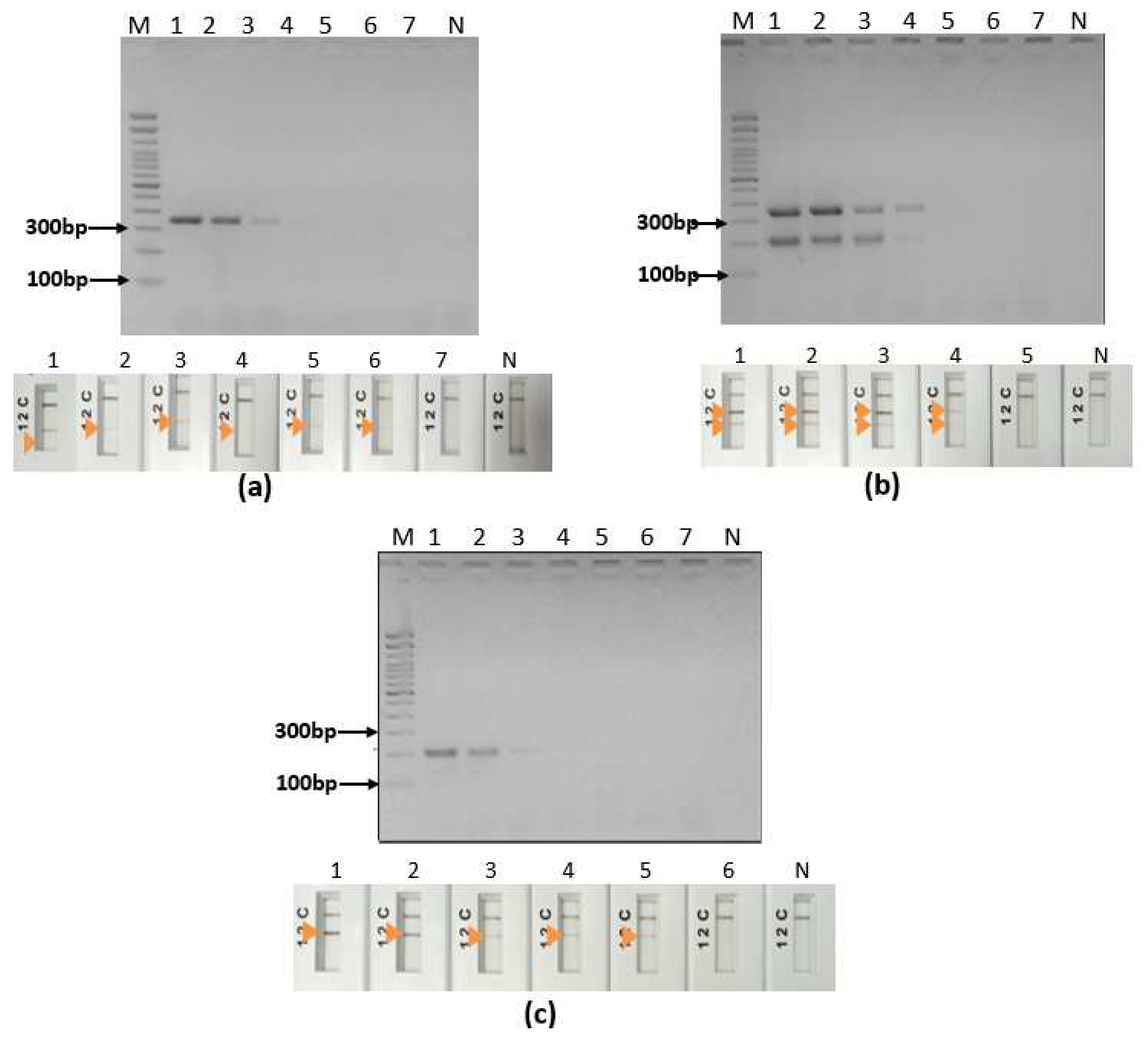 Preprints 86703 g007