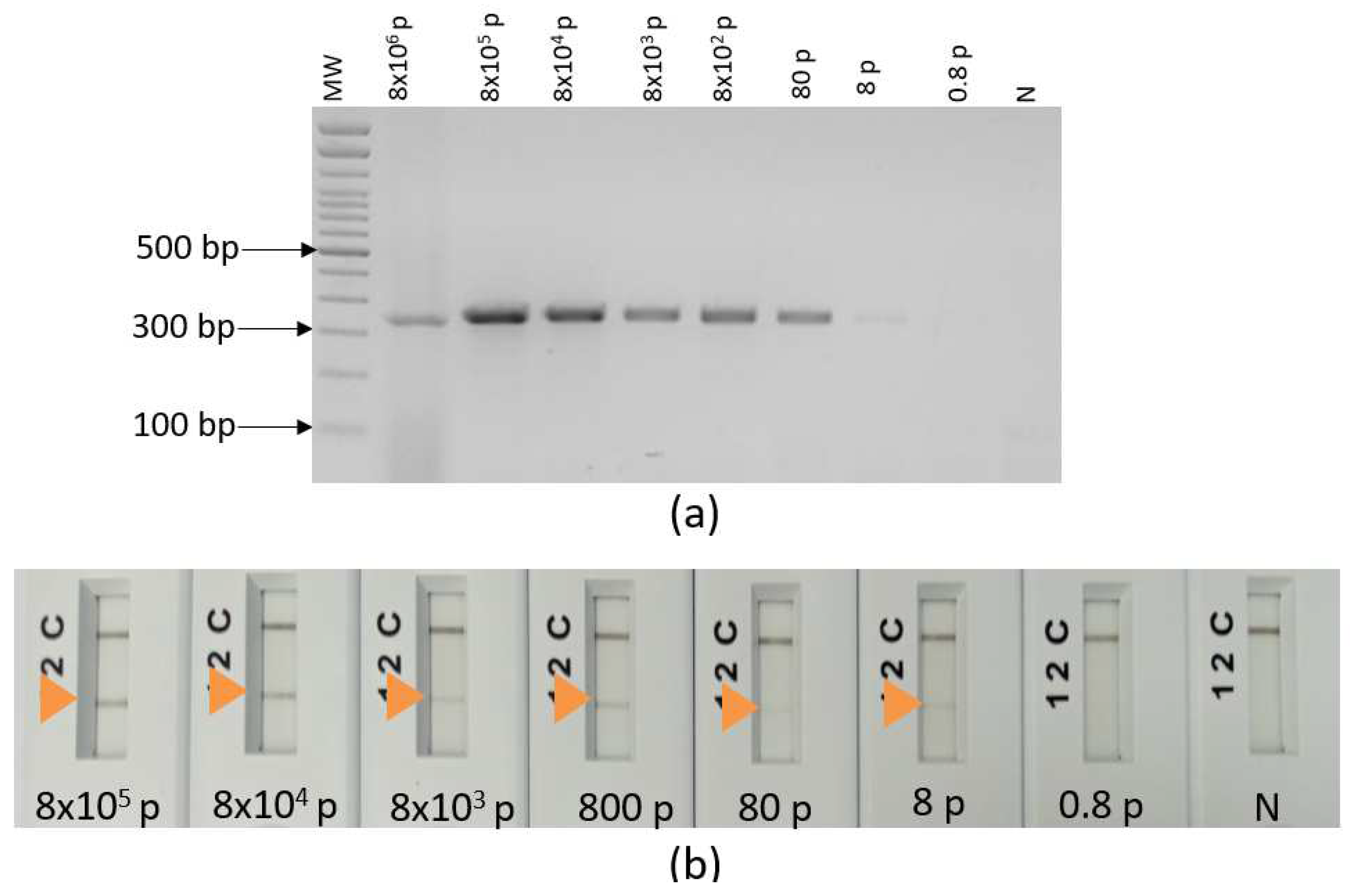 Preprints 86703 g008