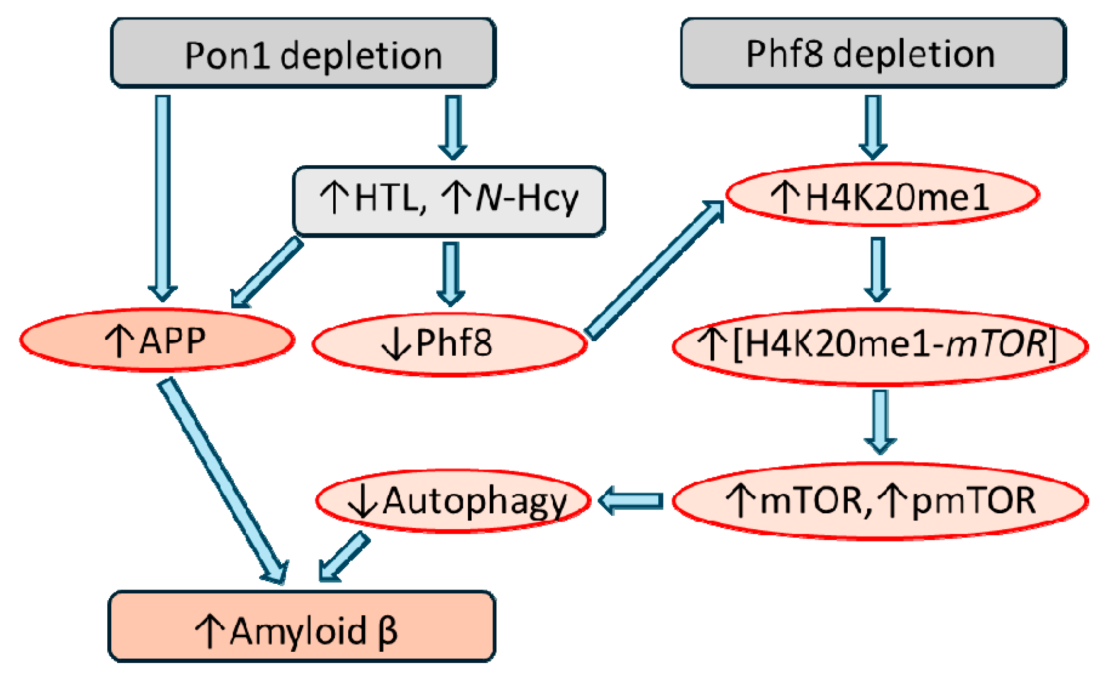 Preprints 121120 g005