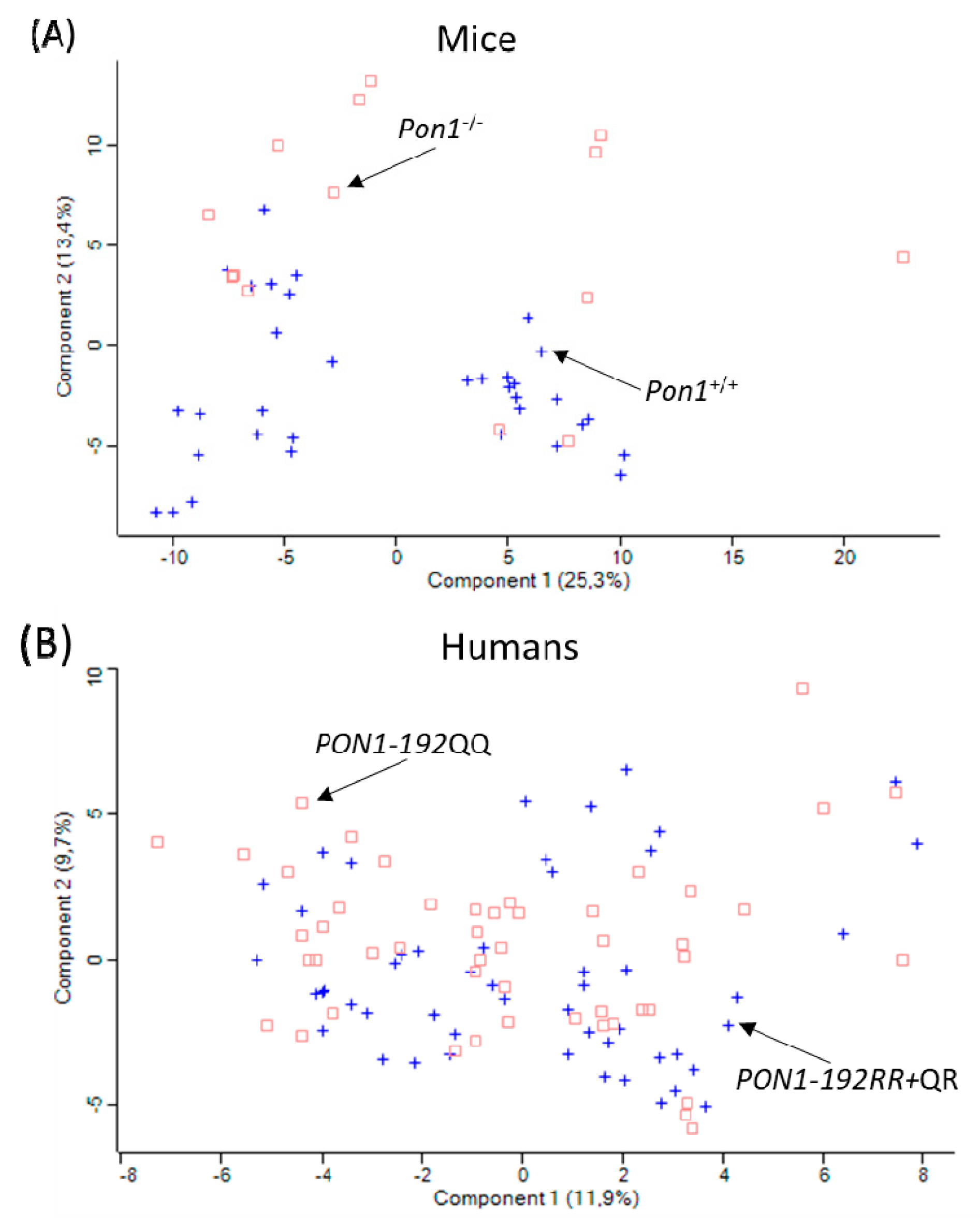 Preprints 121120 g006