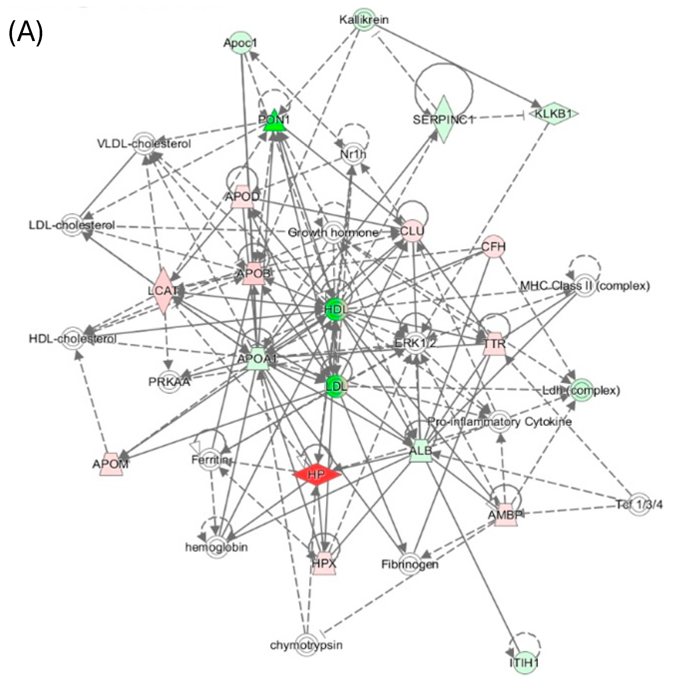 Preprints 121120 g007a