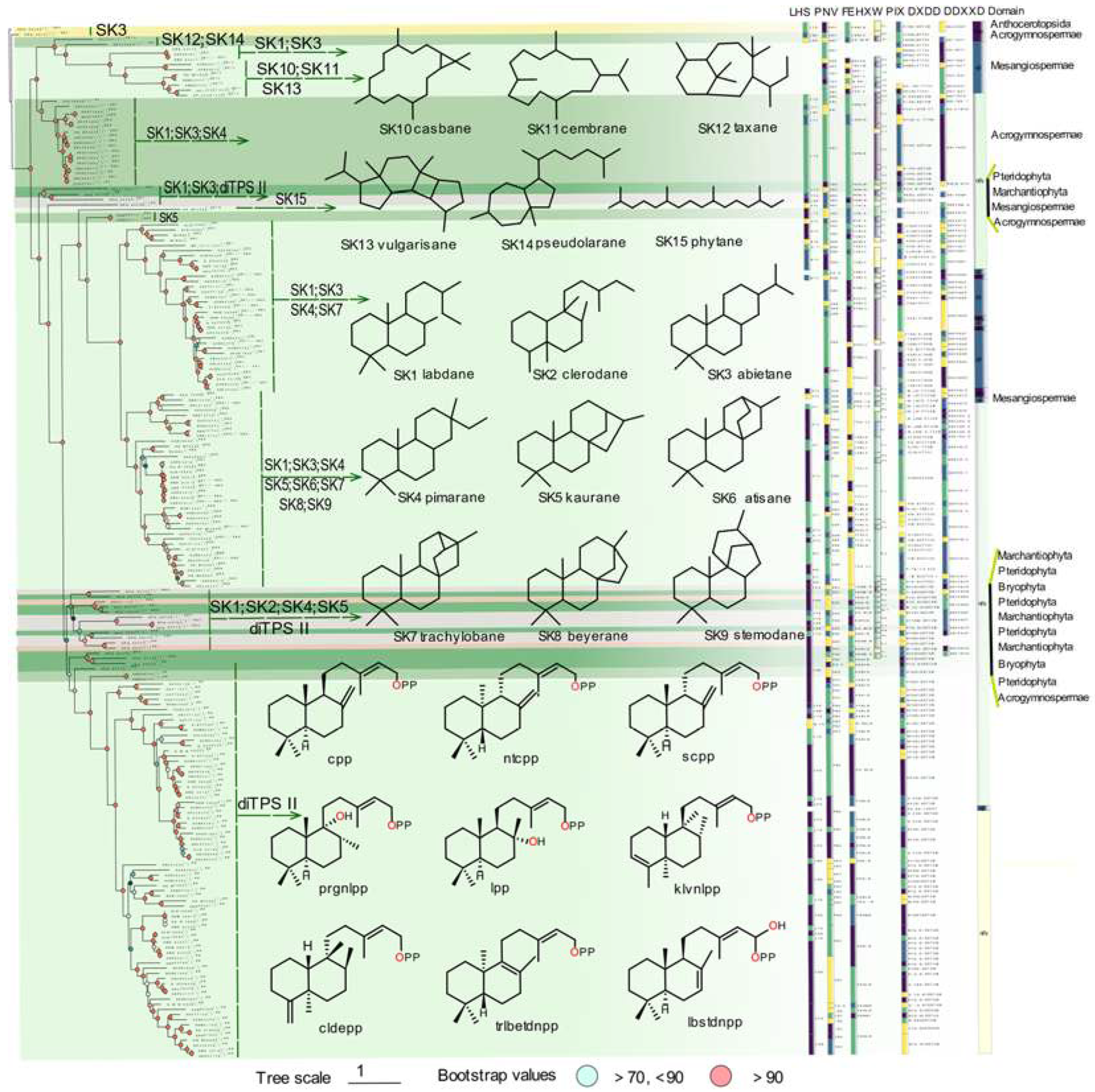 Preprints 84393 g002