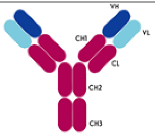 Preprints 87947 i001