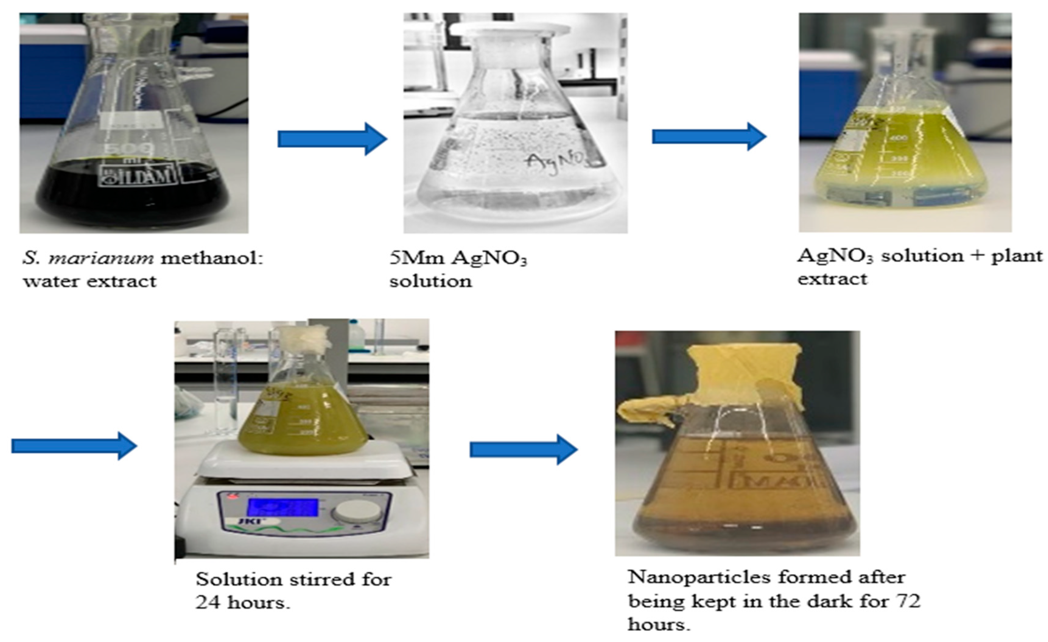 Preprints 90642 g001