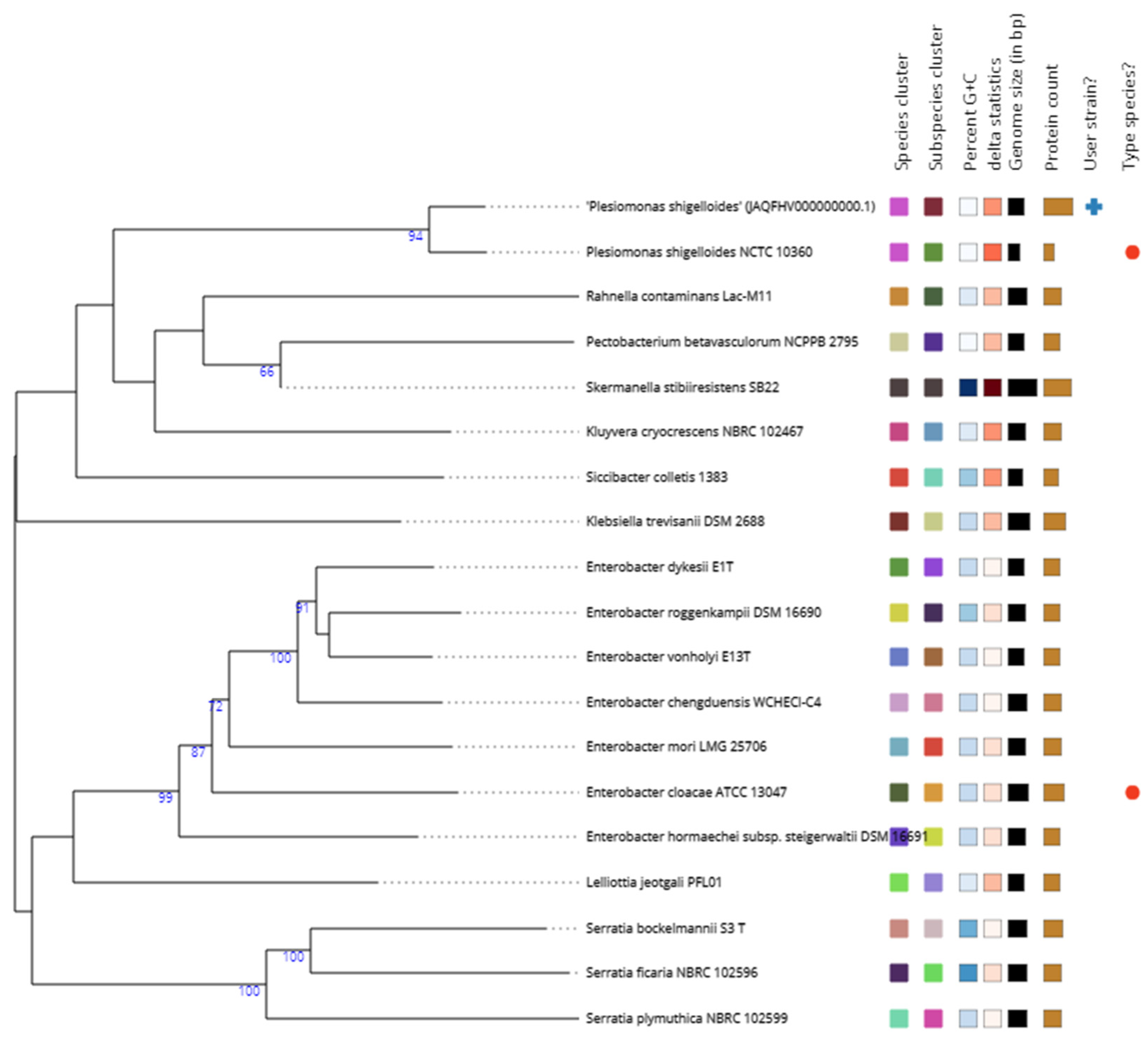 Preprints 69579 g001