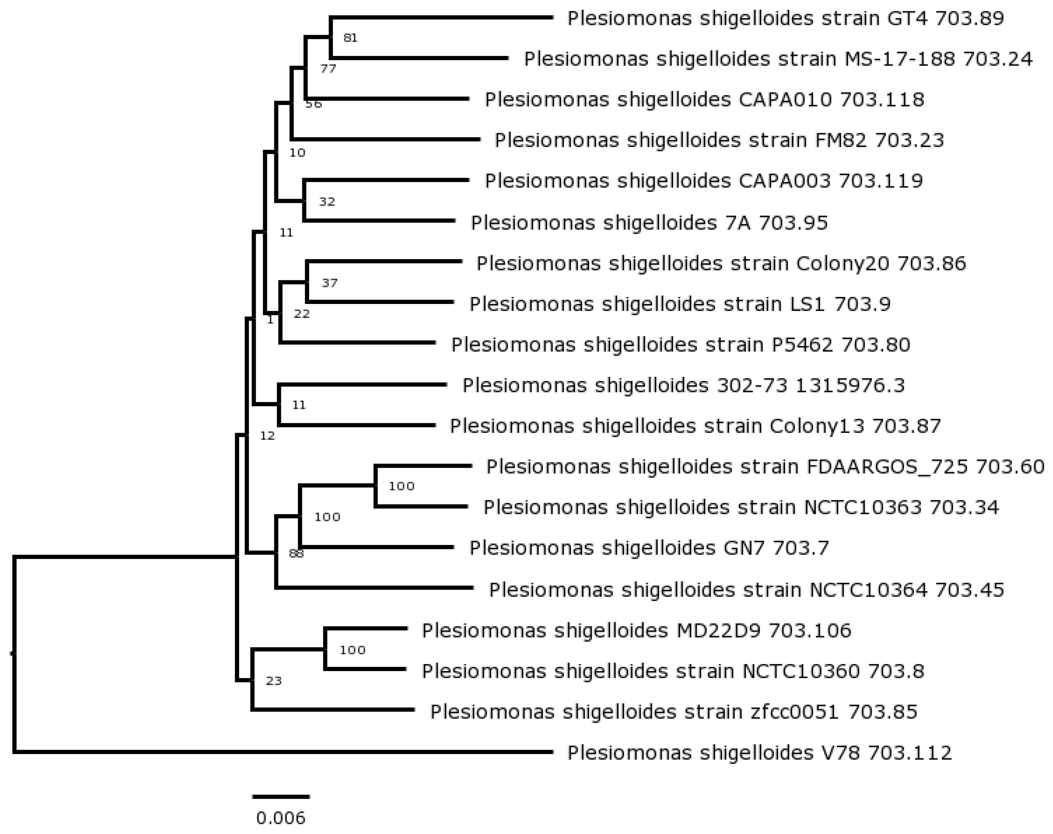 Preprints 69579 g002