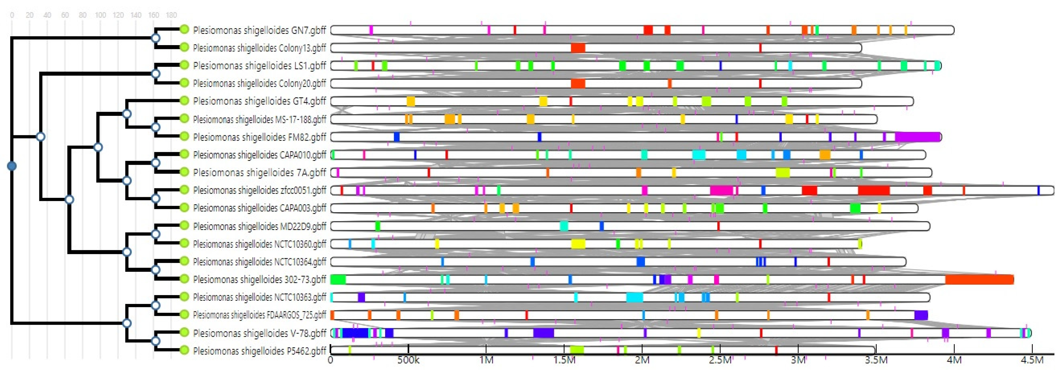 Preprints 69579 g004