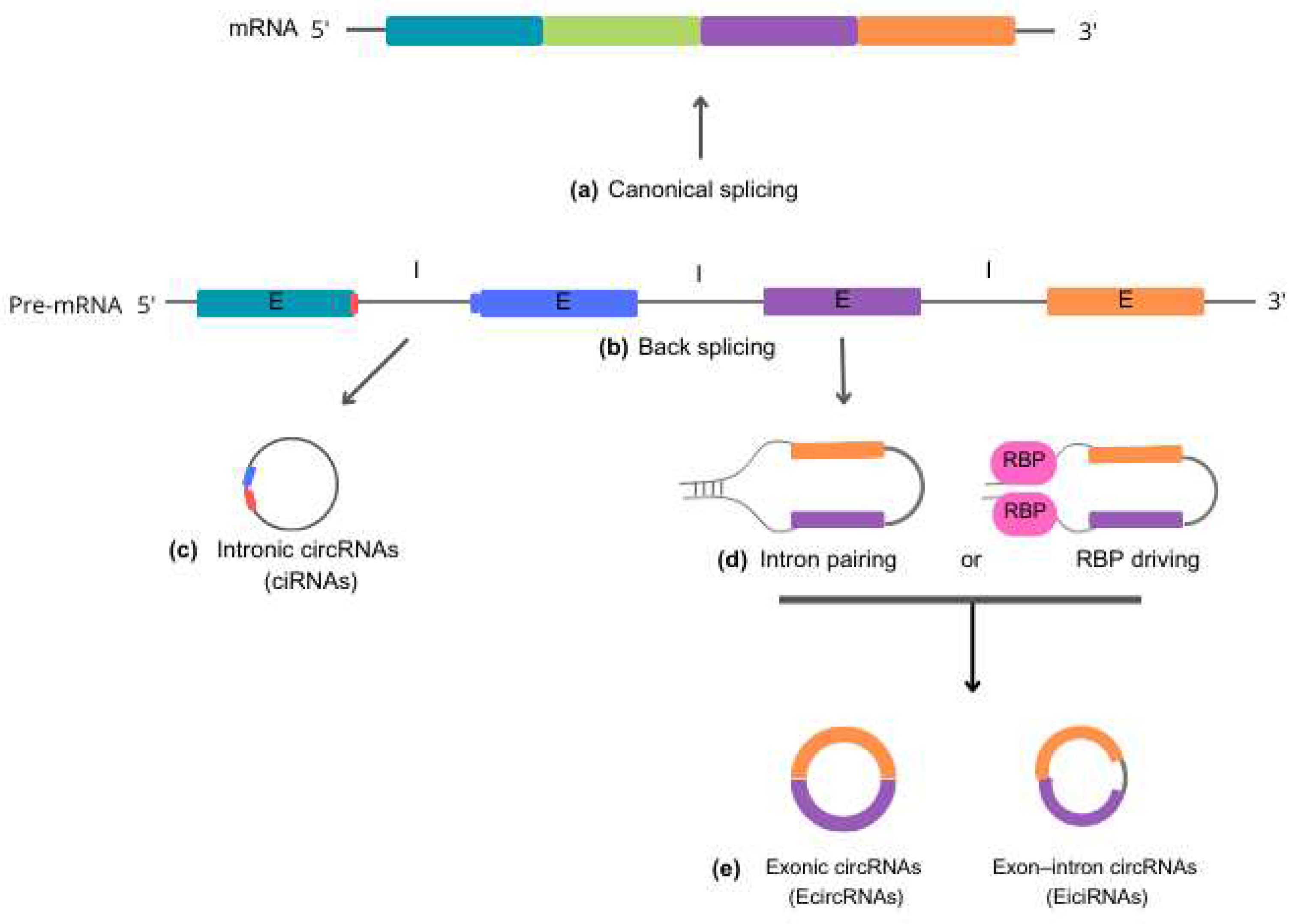 Preprints 77073 g001