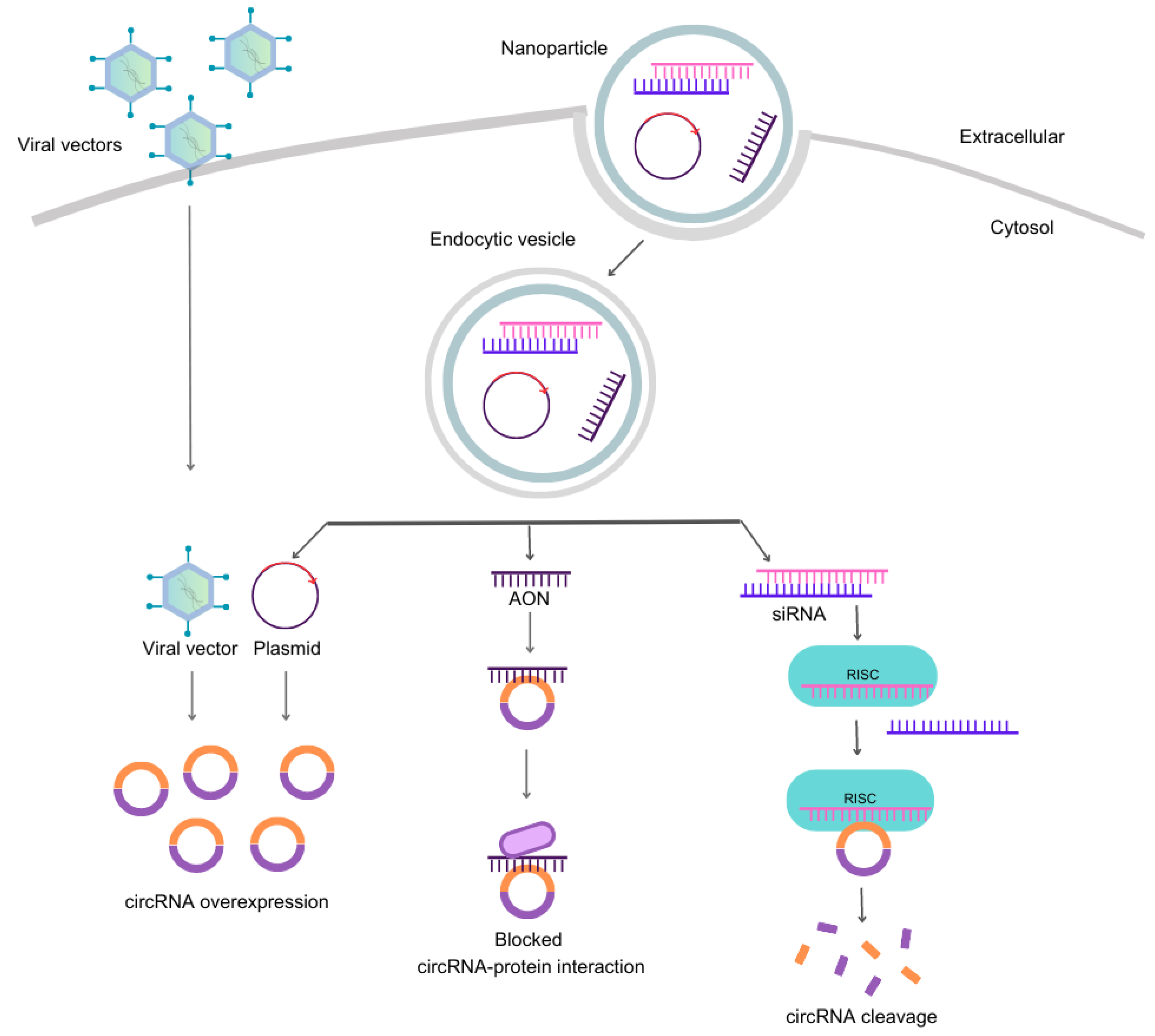 Preprints 77073 g002