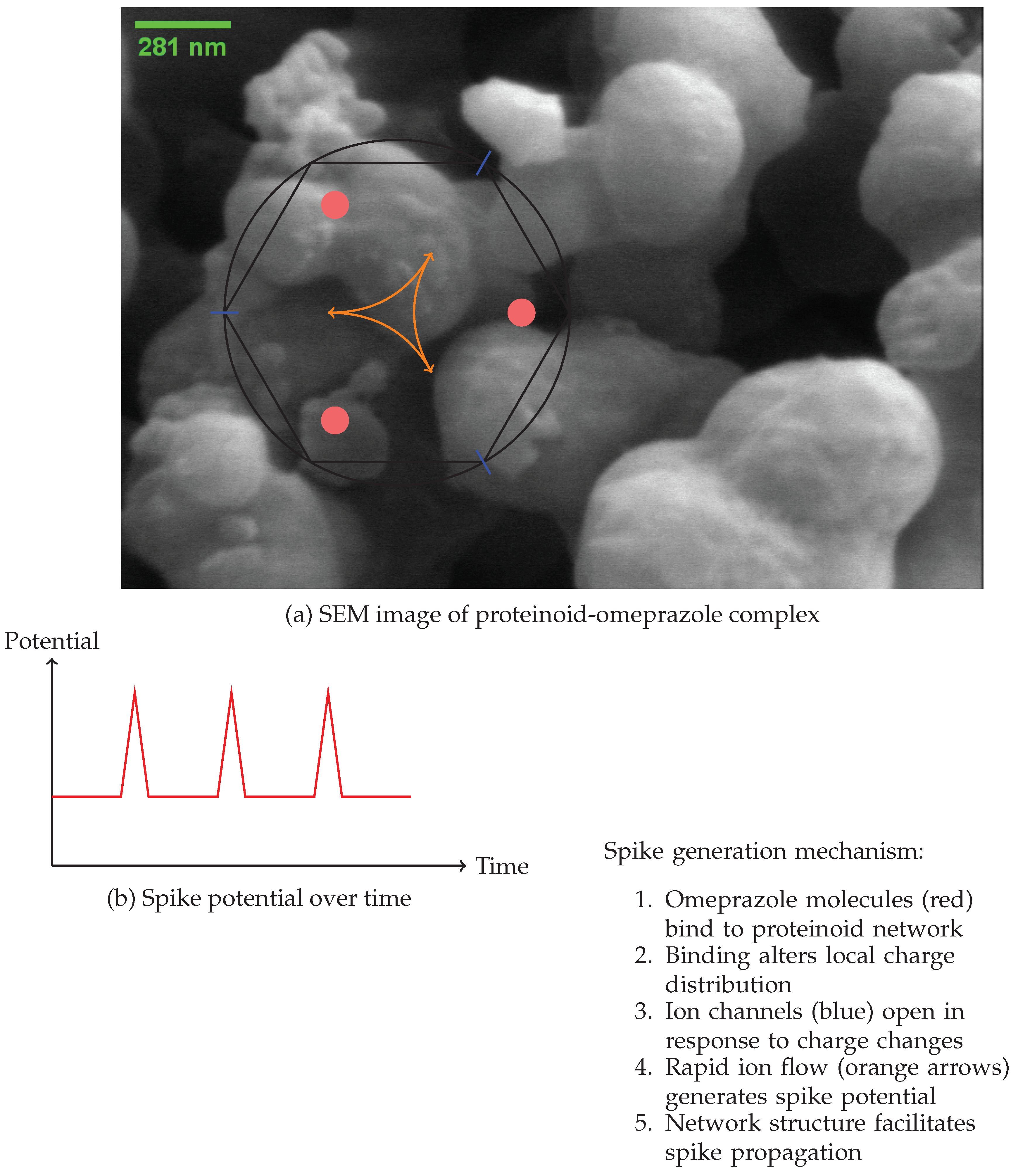 Preprints 114273 g011