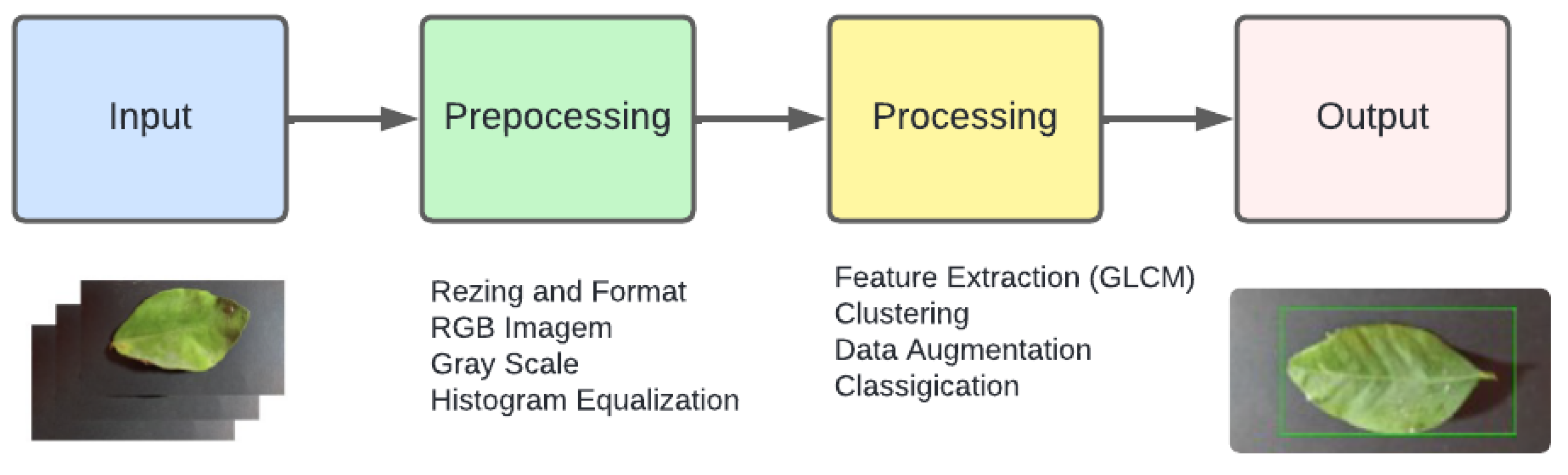 Preprints 121784 g001