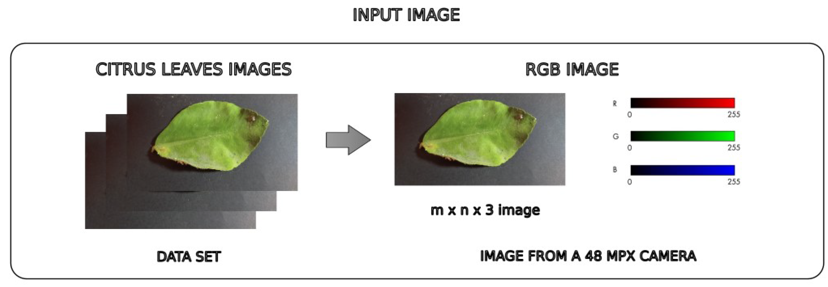 Preprints 121784 g002