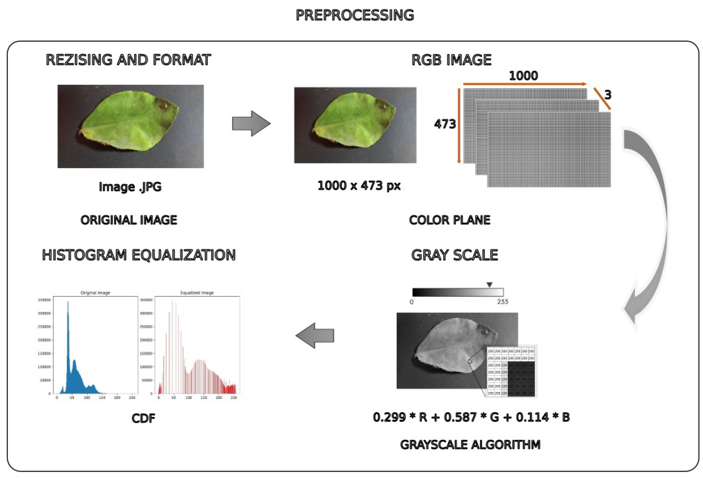 Preprints 121784 g003