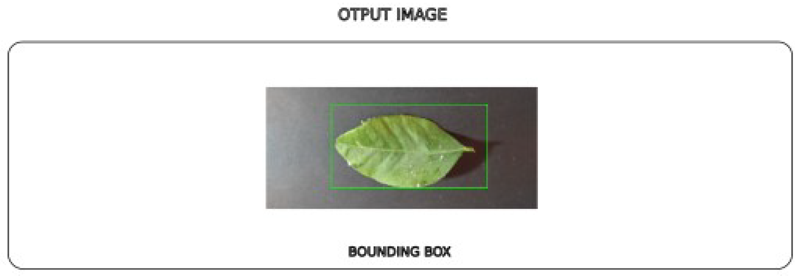 Preprints 121784 g005