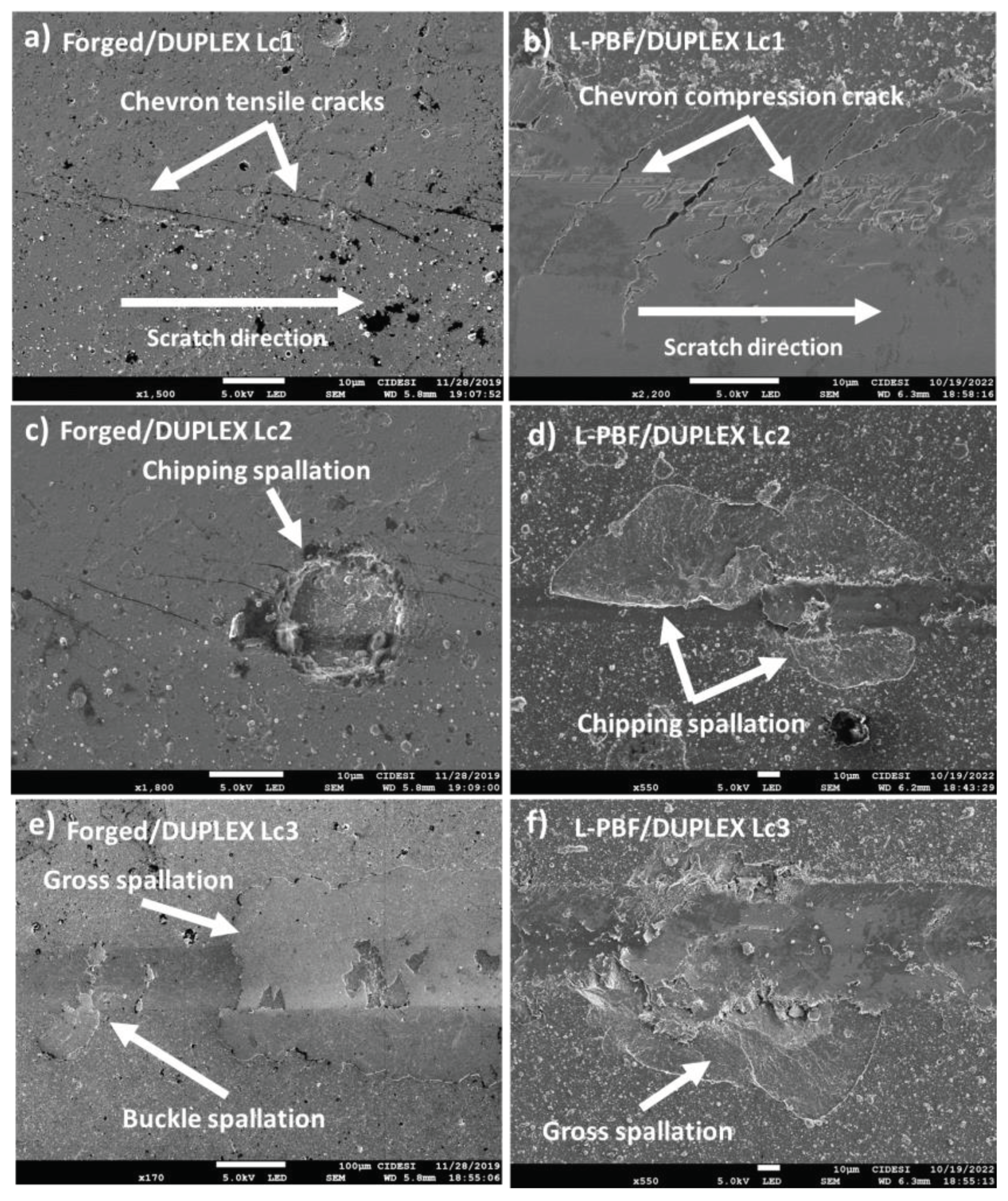 Preprints 102247 g007