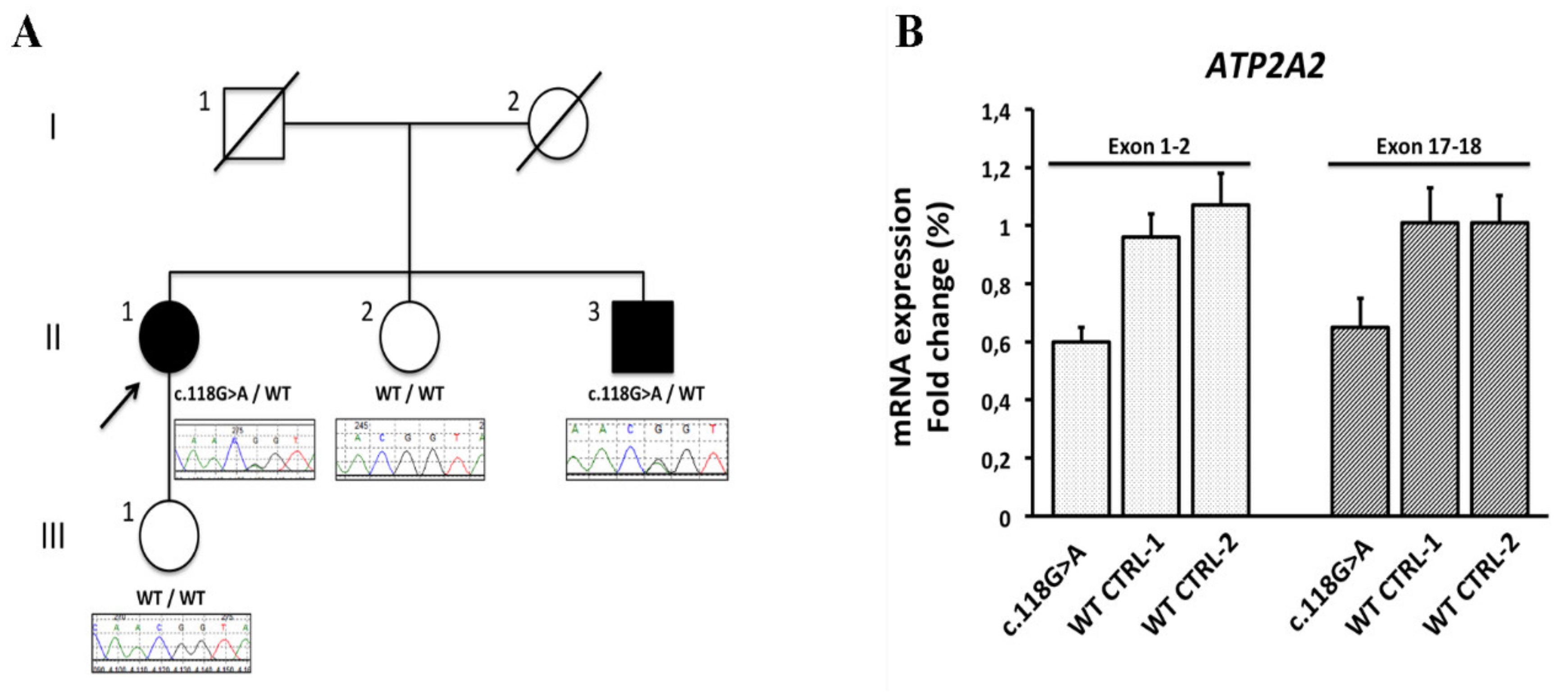 Preprints 100812 g003