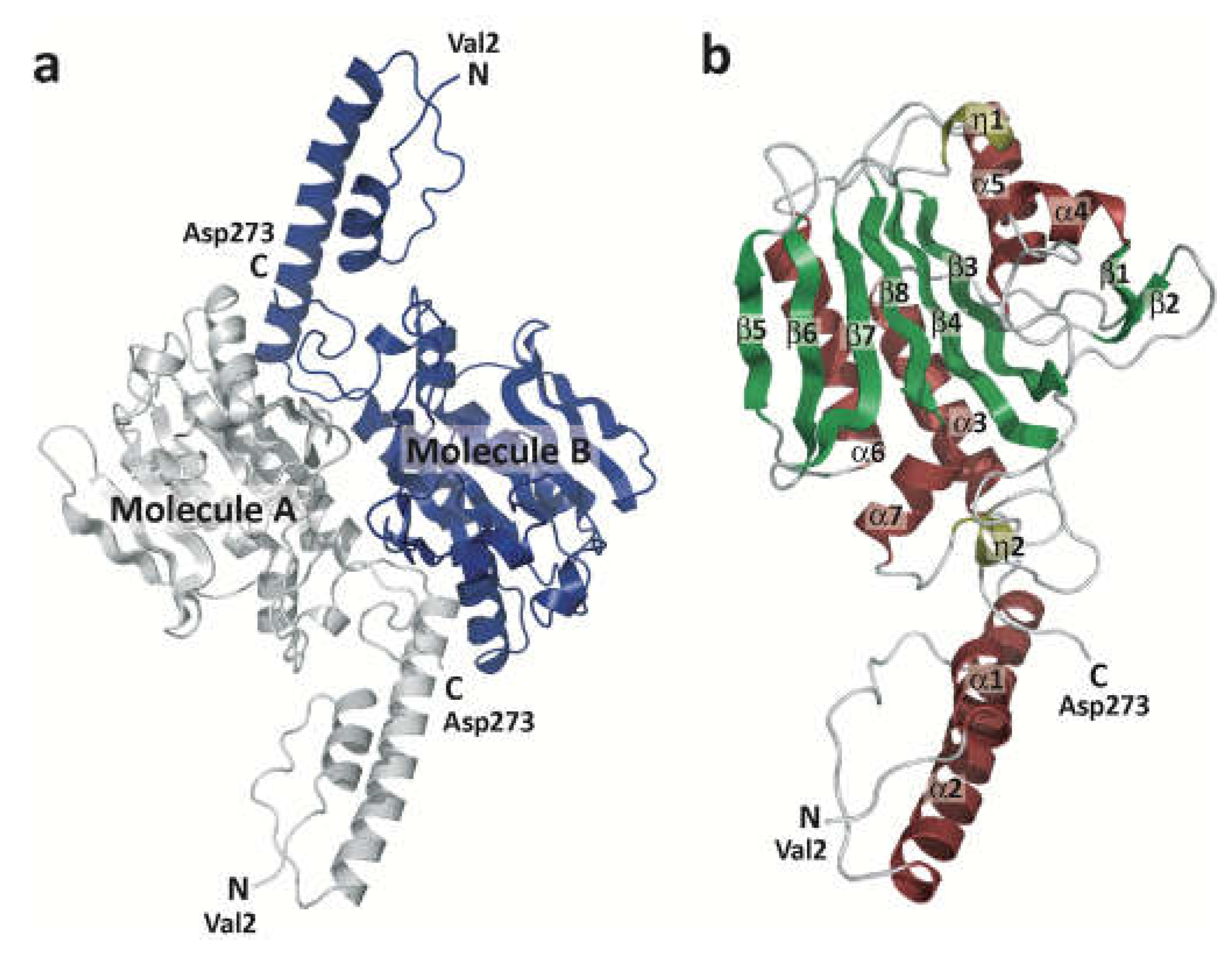 Preprints 68993 g001