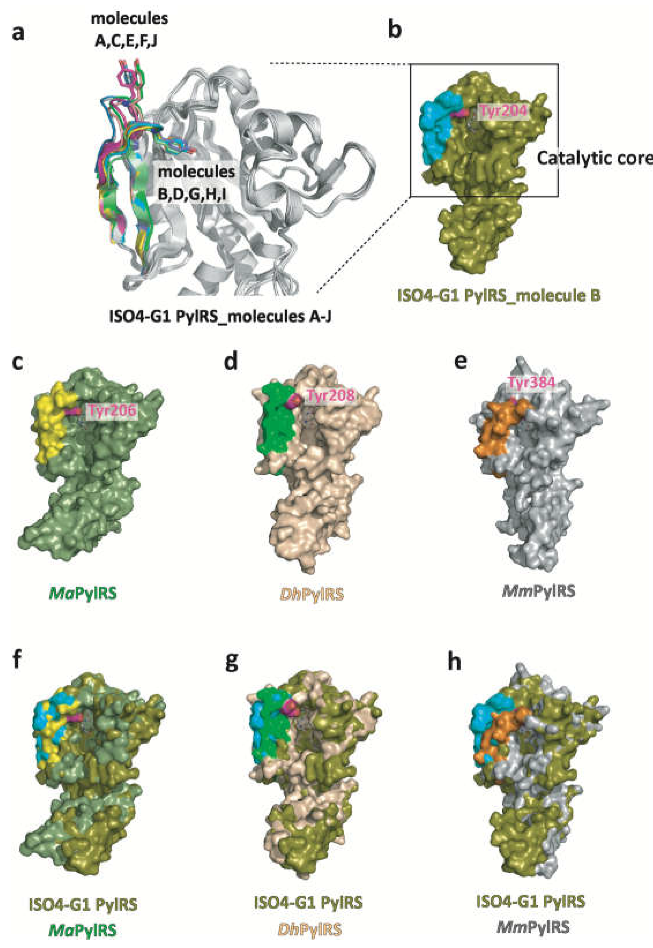 Preprints 68993 g002